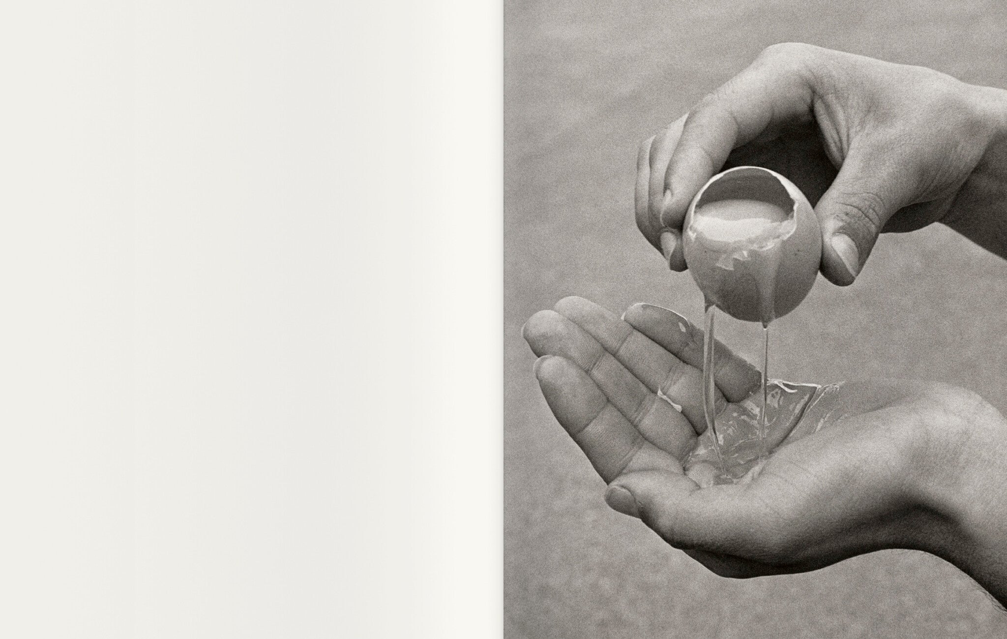 Contravisiones — Joan Fontcuberta, Textes de Joan Fontcuberta et Iván de la Nuez