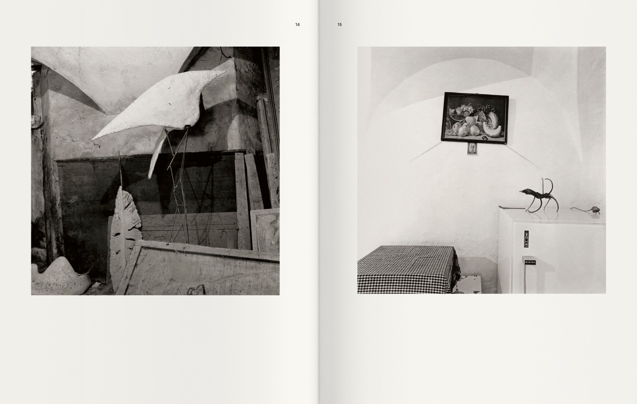 Contravisiones — Joan Fontcuberta, Textes de Joan Fontcuberta et Iván de la Nuez