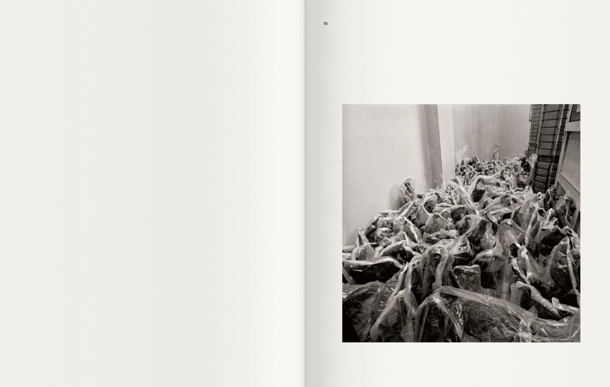 Contravisiones — Joan Fontcuberta, Textes de Joan Fontcuberta et Iván de la Nuez