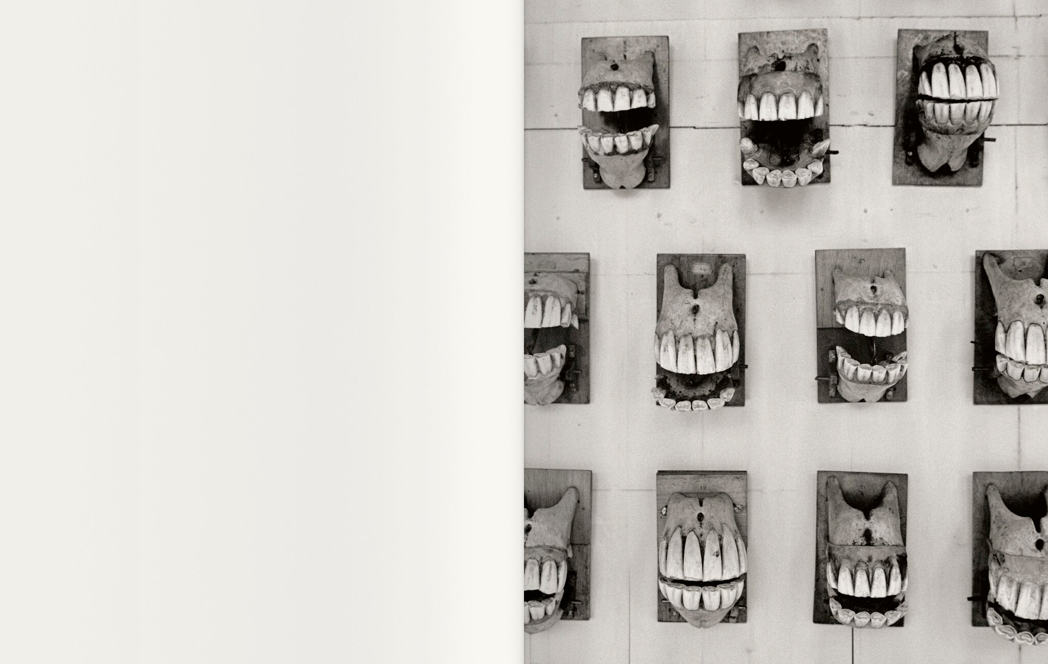 Contravisiones — Joan Fontcuberta, Textes de Joan Fontcuberta et Iván de la Nuez