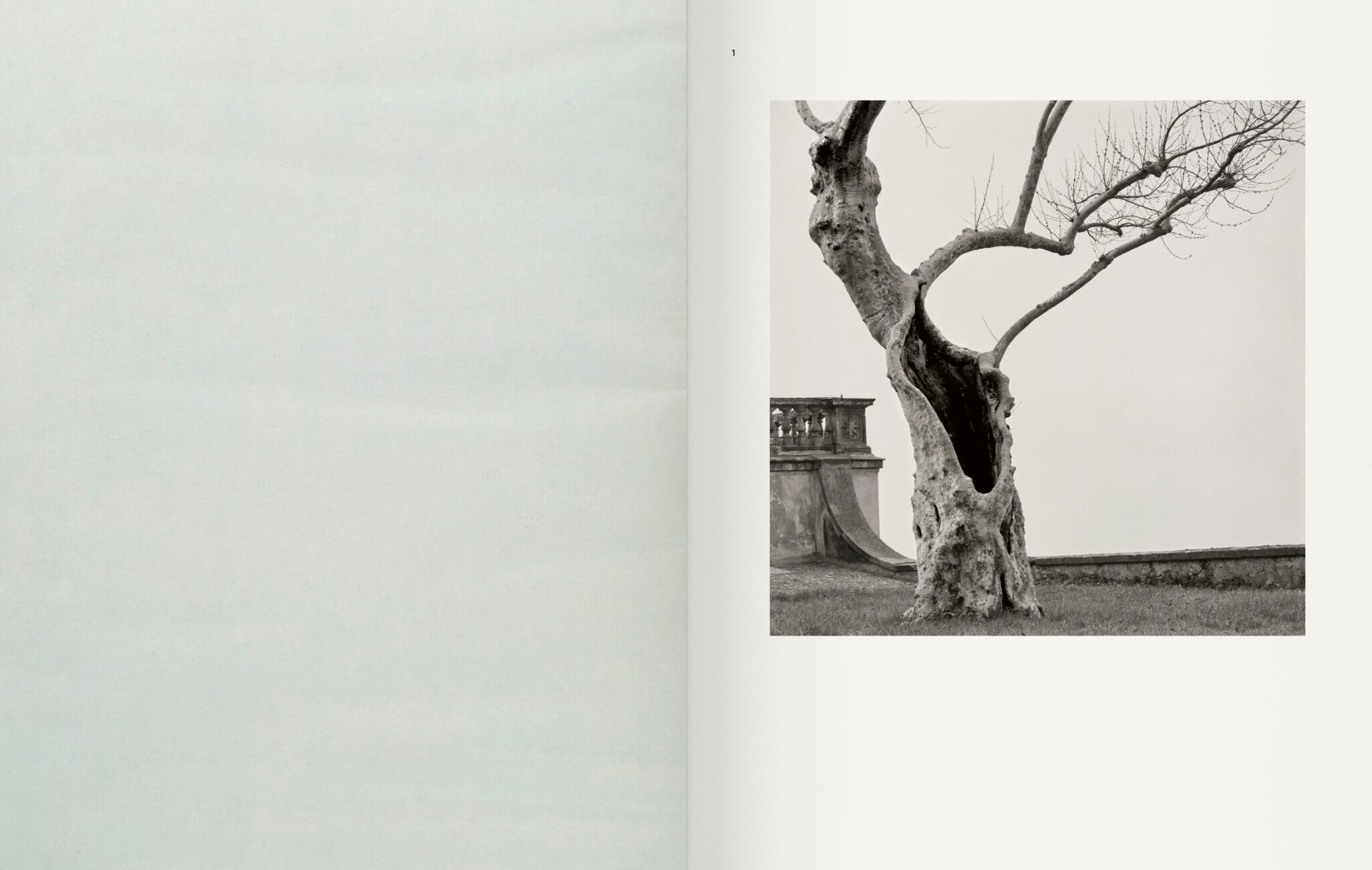 Contravisiones — Joan Fontcuberta, Textes de Joan Fontcuberta et Iván de la Nuez