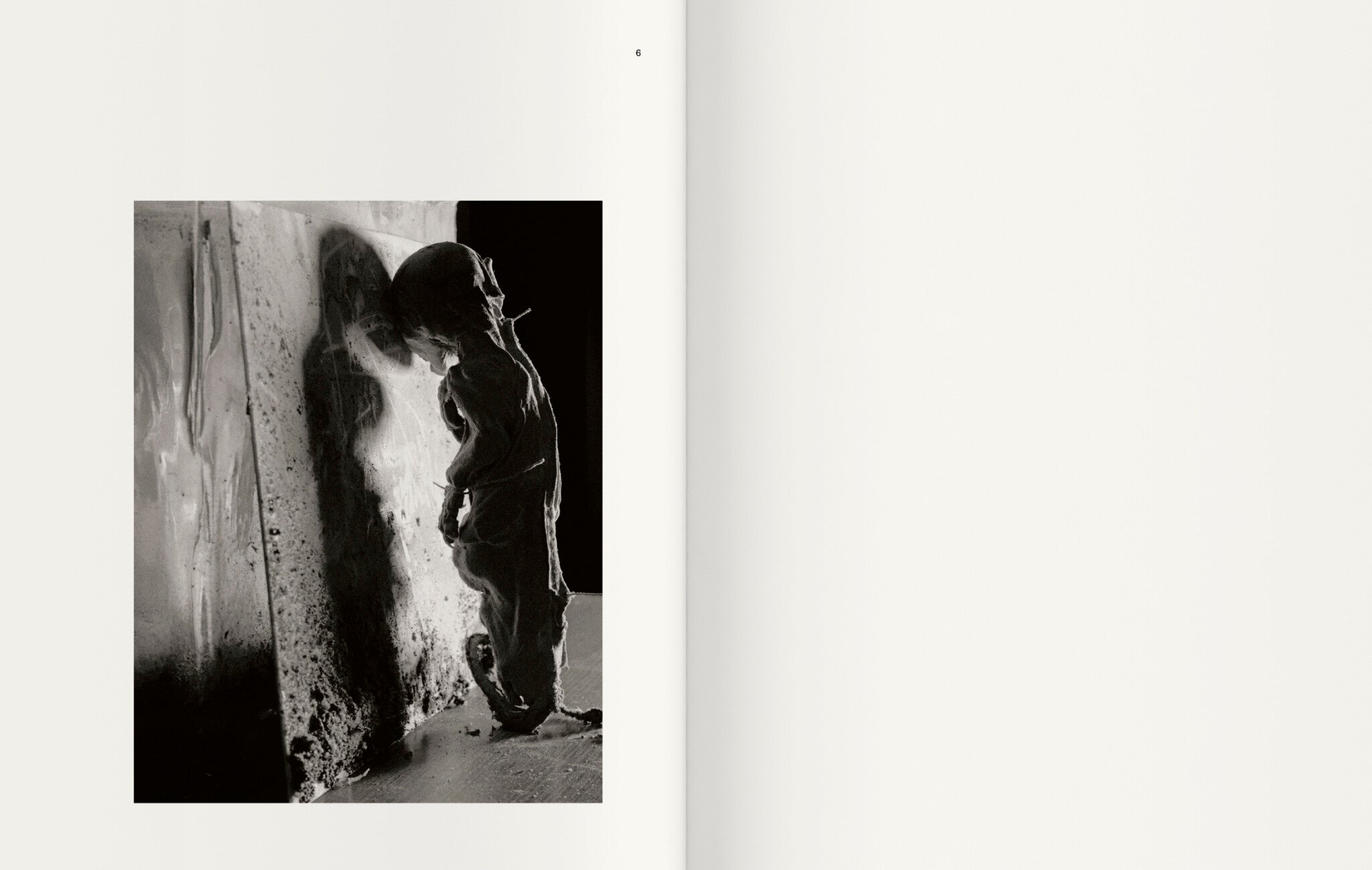 Contravisiones — Joan Fontcuberta, Textes de Joan Fontcuberta et Iván de la Nuez