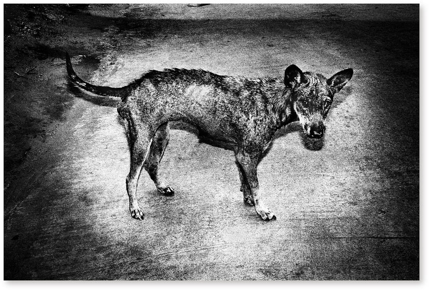 BY THE RIVER OF KINGS, Jacob Aue Sobol, SUPER LABO, 2016