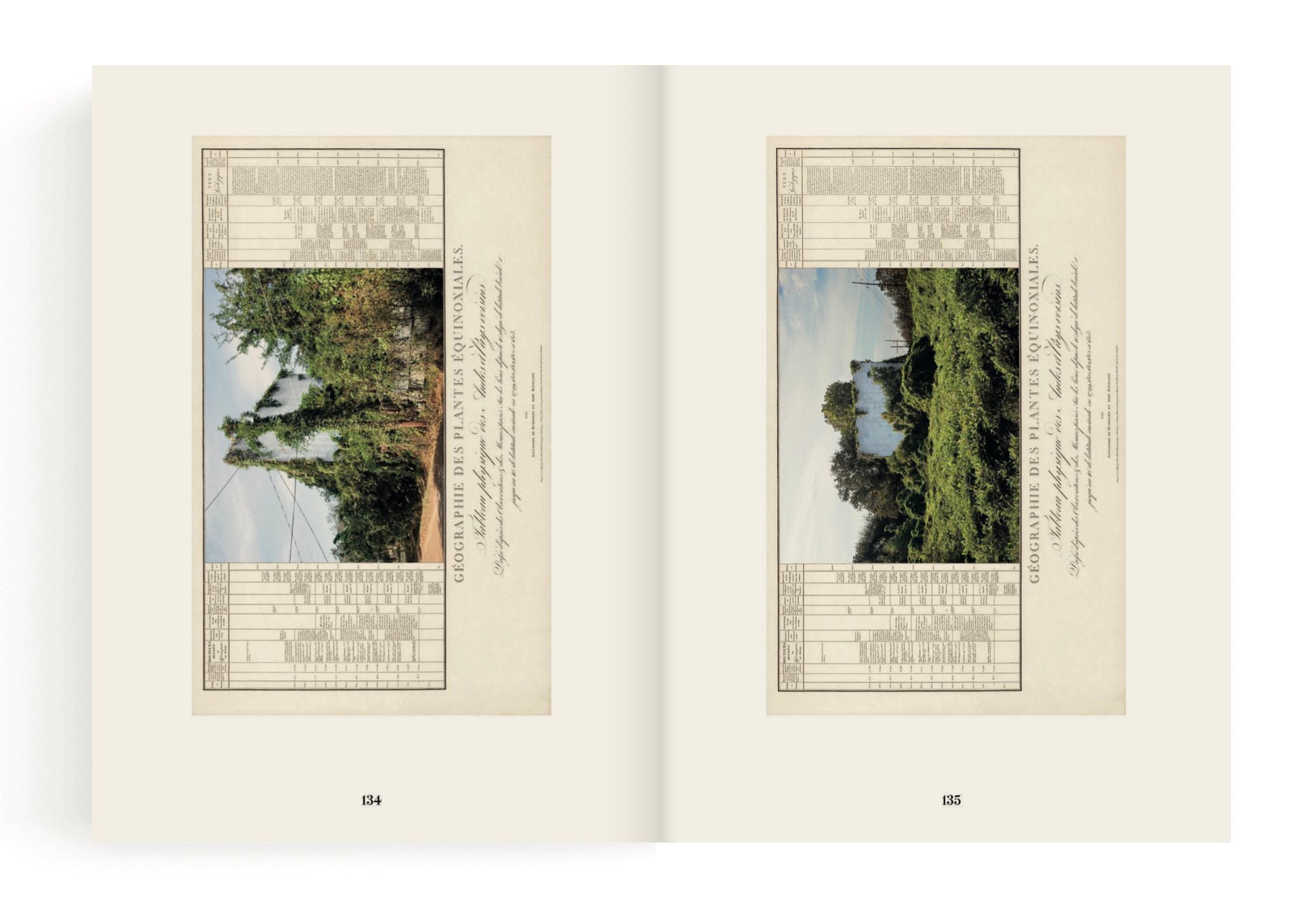 On the Geography of Green [&] — Linarejos Moreno —Editorial RM, 2024