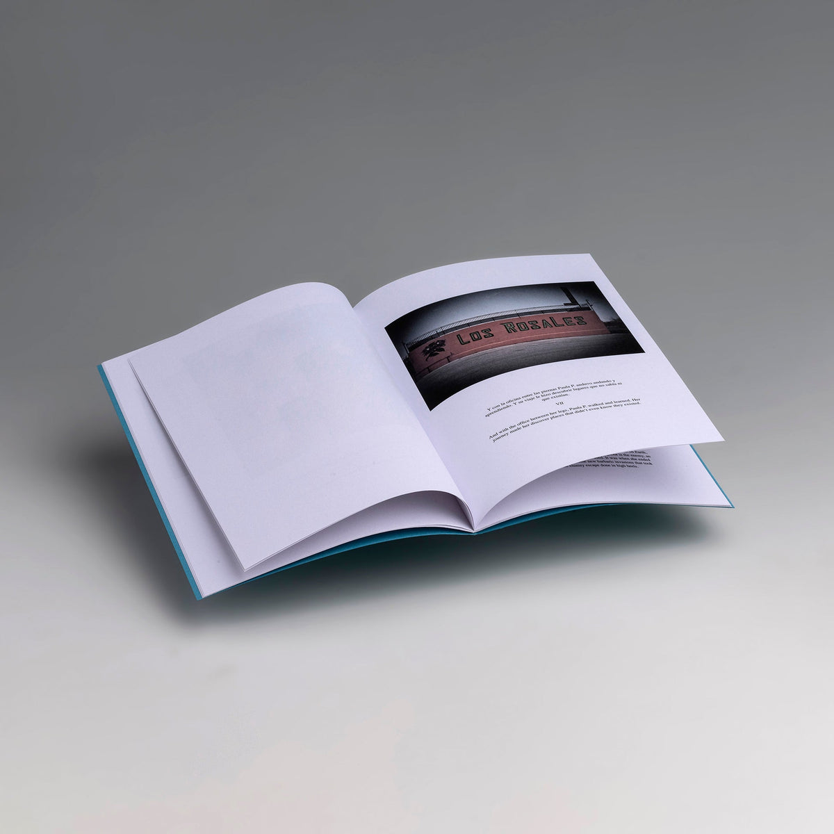 CARTAS AL DIRECTOR — Cristina de Middel — This Book Is True — 2023