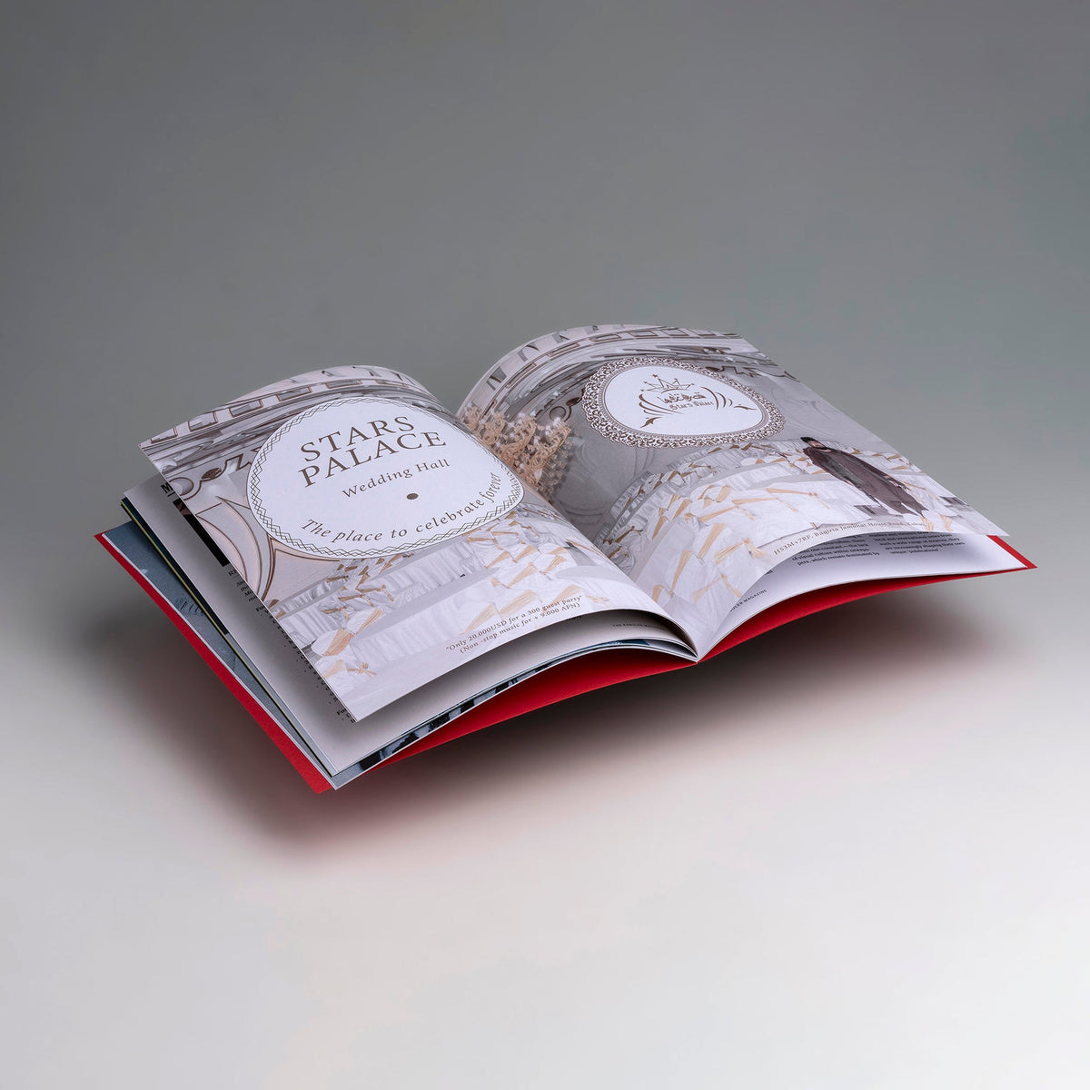 CARTAS AL DIRECTOR — Cristina de Middel — This Book Is True — 2023