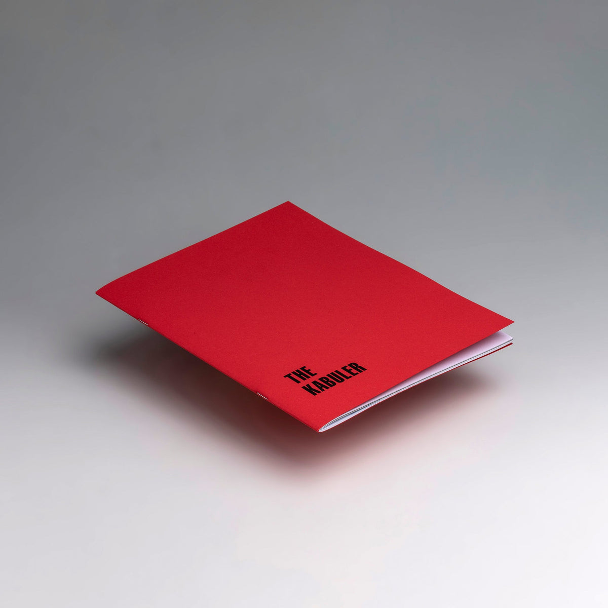 CARTAS AL DIRECTOR — Cristina de Middel — This Book Is True — 2023