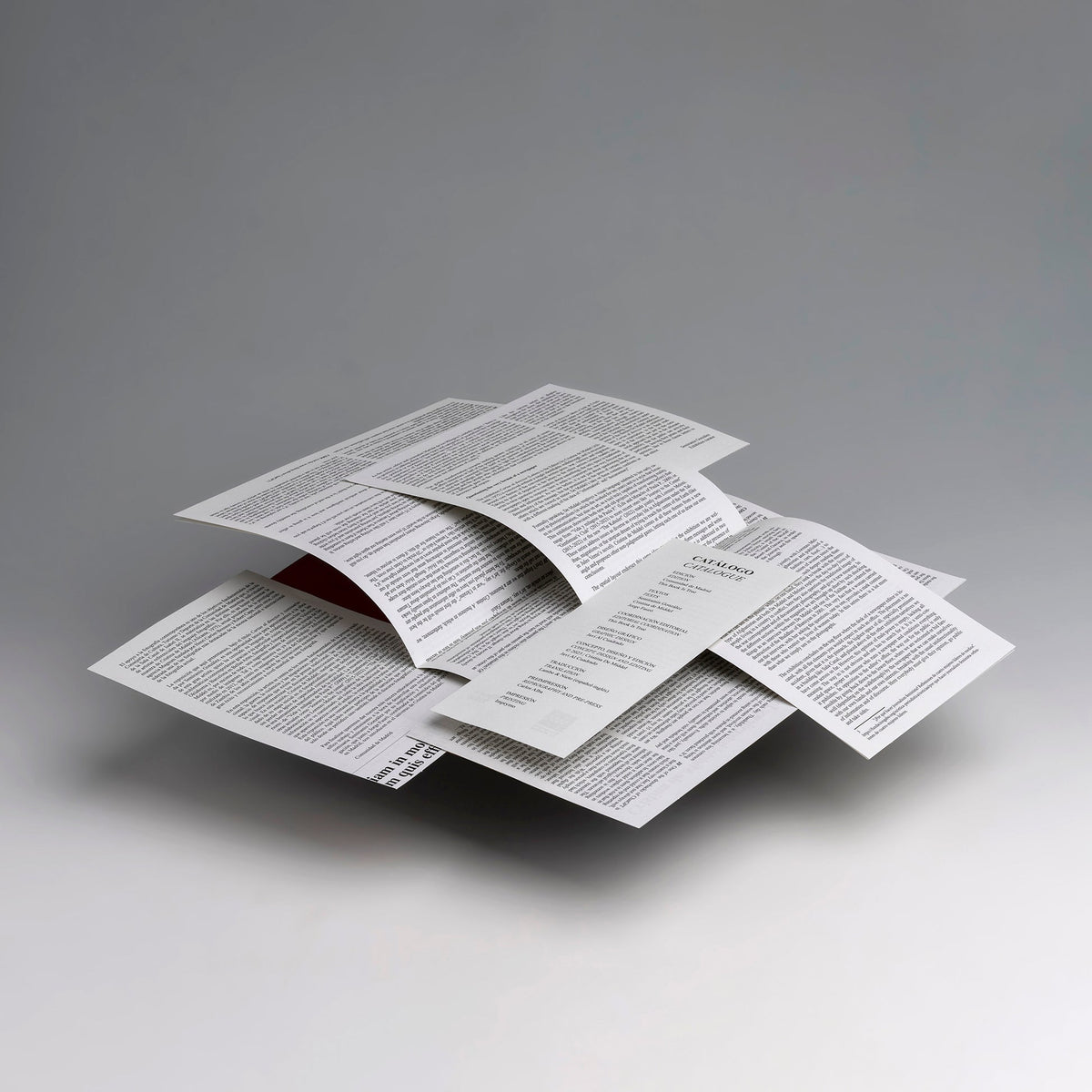 CARTAS AL DIRECTOR — Cristina de Middel — This Book Is True — 2023