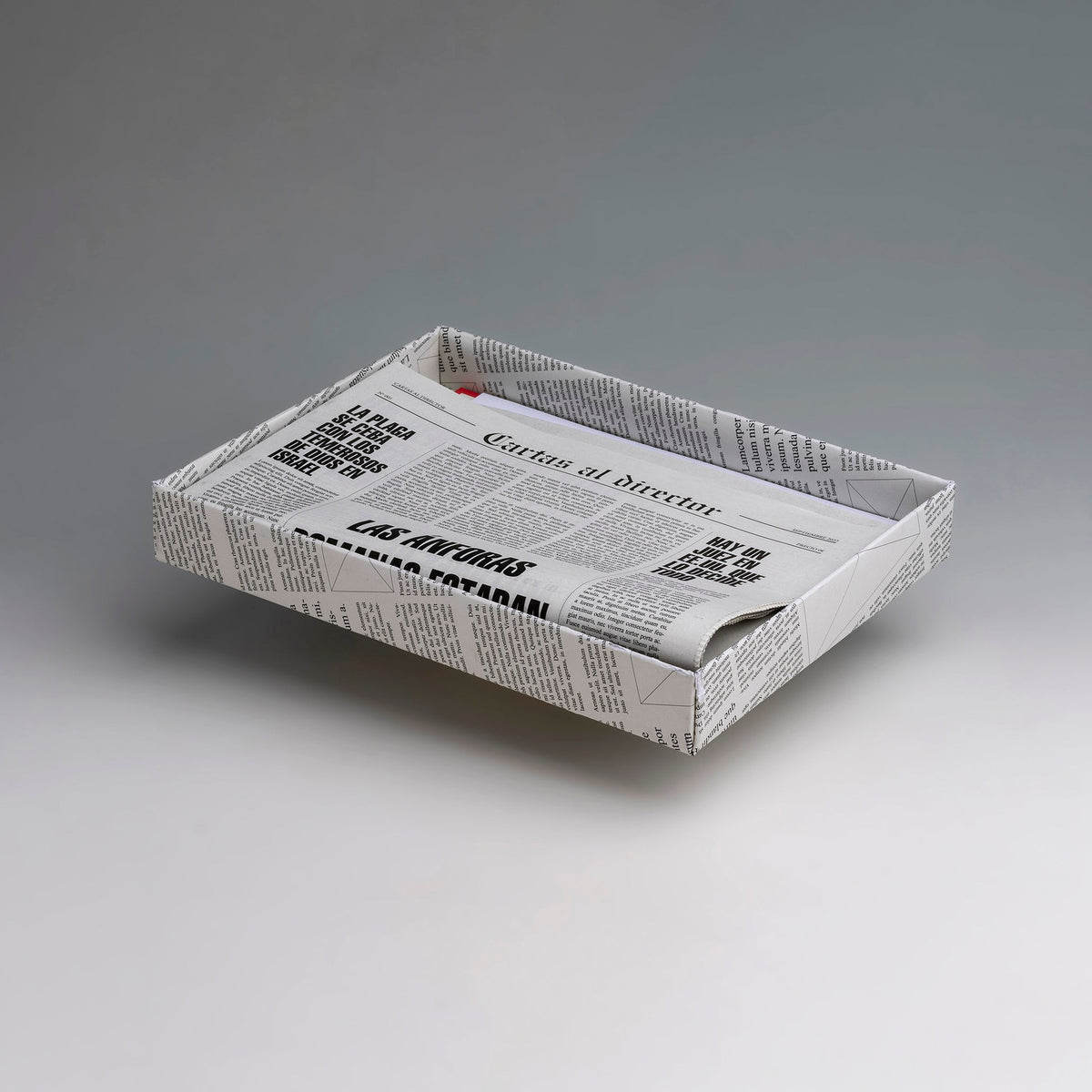 CARTAS AL DIRECTOR — Cristina de Middel — This Book Is True — 2023