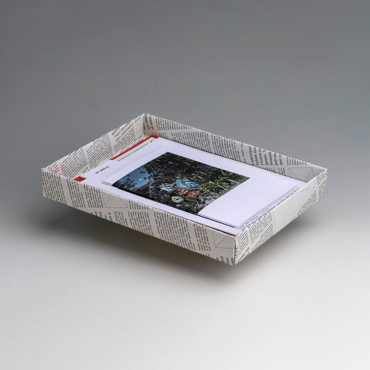 CARTAS AL DIRECTOR — Cristina de Middel — This Book Is True — 2023