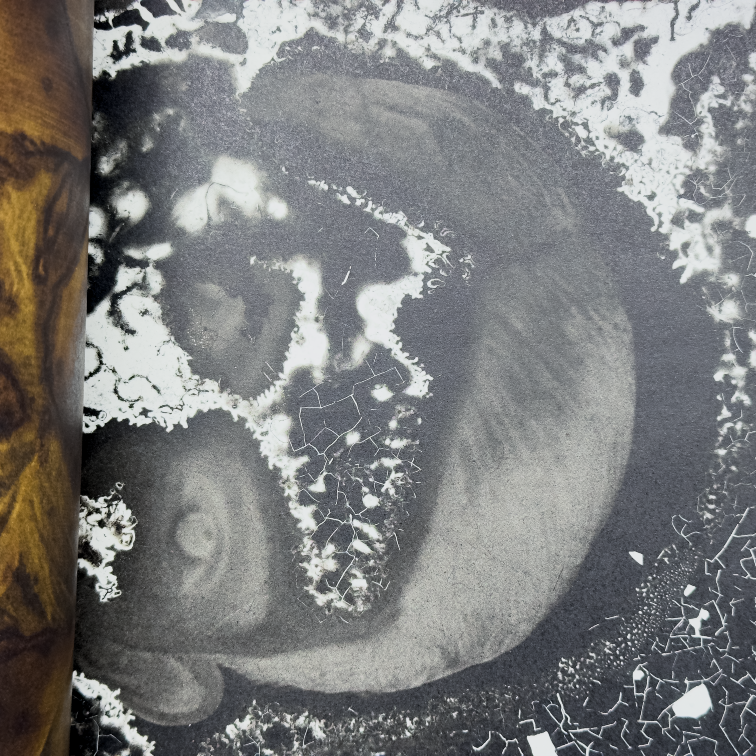 KINTSUGI – Joan Fontcuberta,  Editorial RM