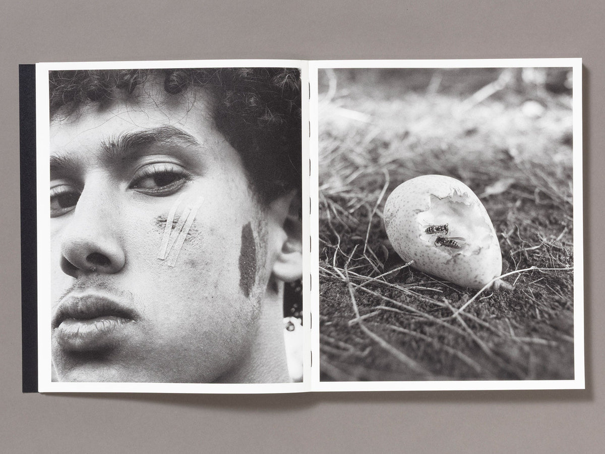 Mixedness is my Mythology — Farren van Wyk — Fw:Books / Deadbeat Club — 2026