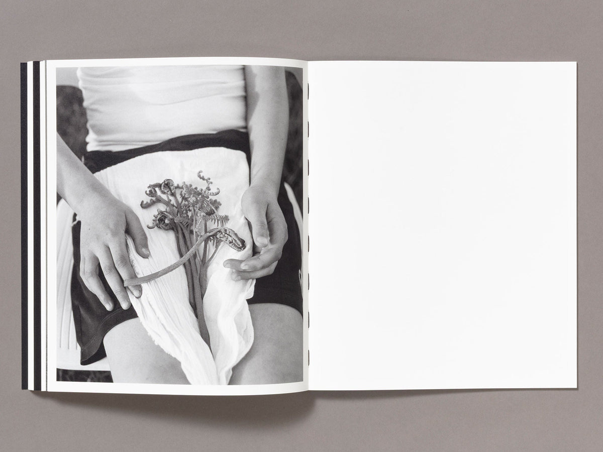 Mixedness is my Mythology — Farren van Wyk — Fw:Books / Deadbeat Club — 2026