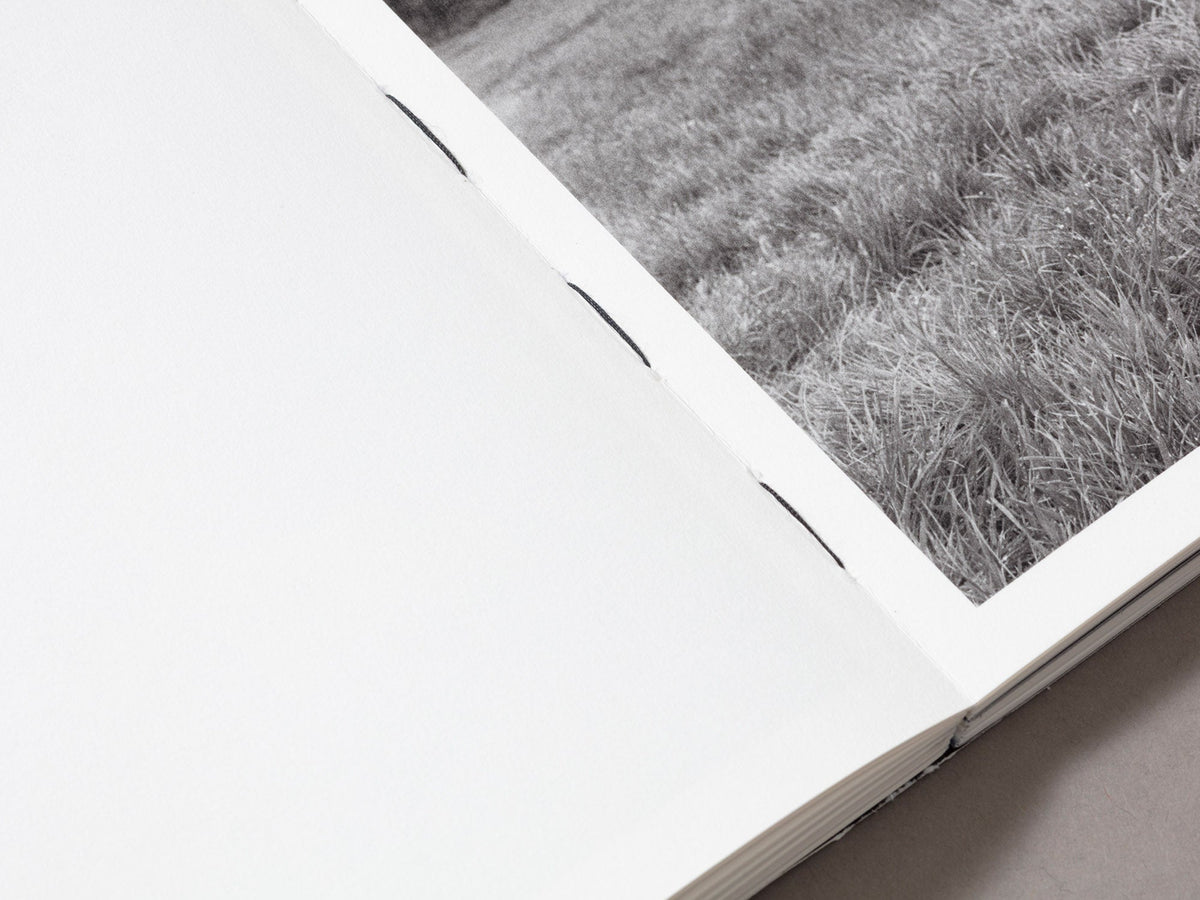 Mixedness is my Mythology — Farren van Wyk — Fw:Books / Deadbeat Club — 2026