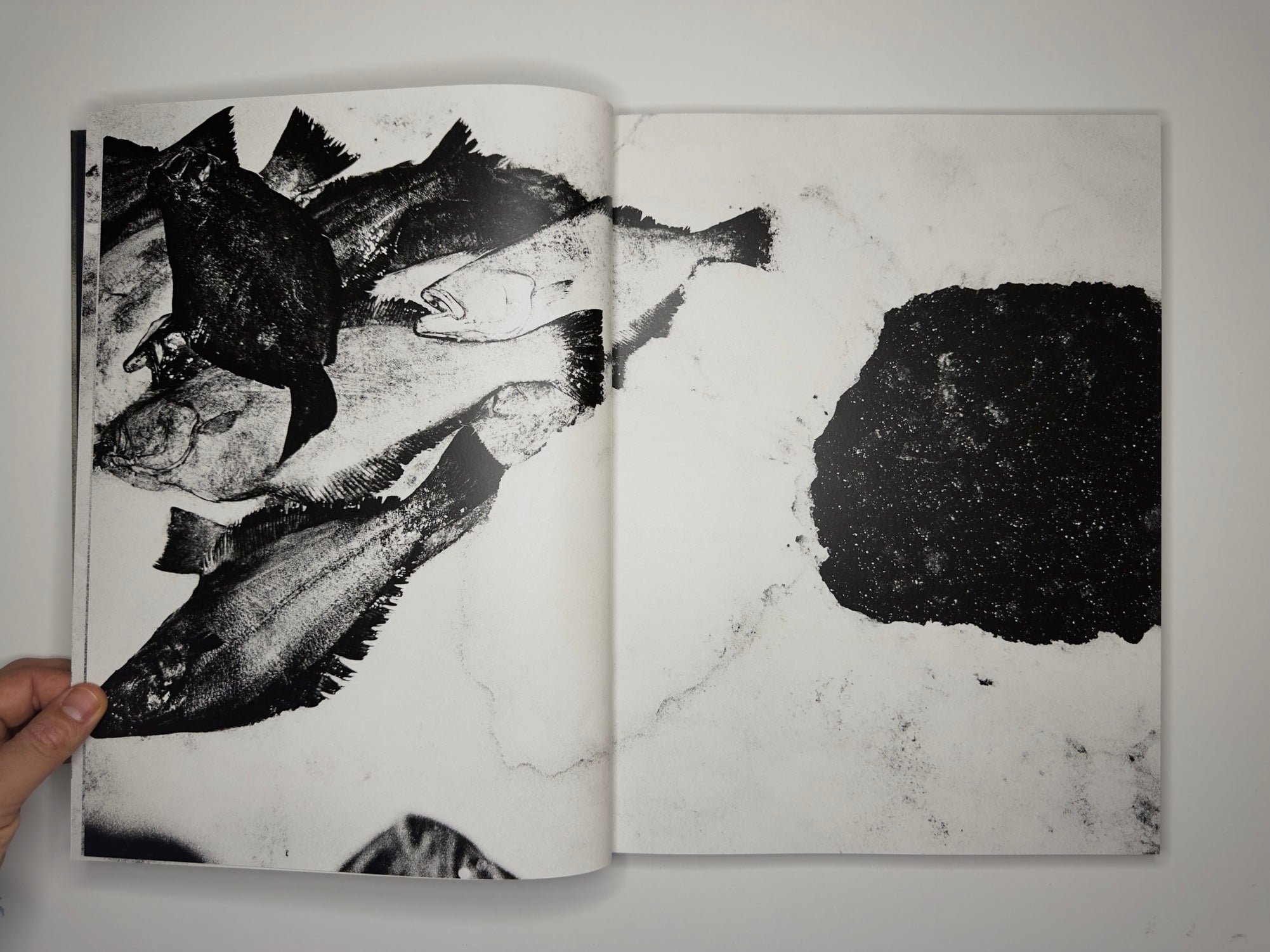 JAMES' HOUSE, Jacob Aue Sobol (signed), SUPER LABO, 2022