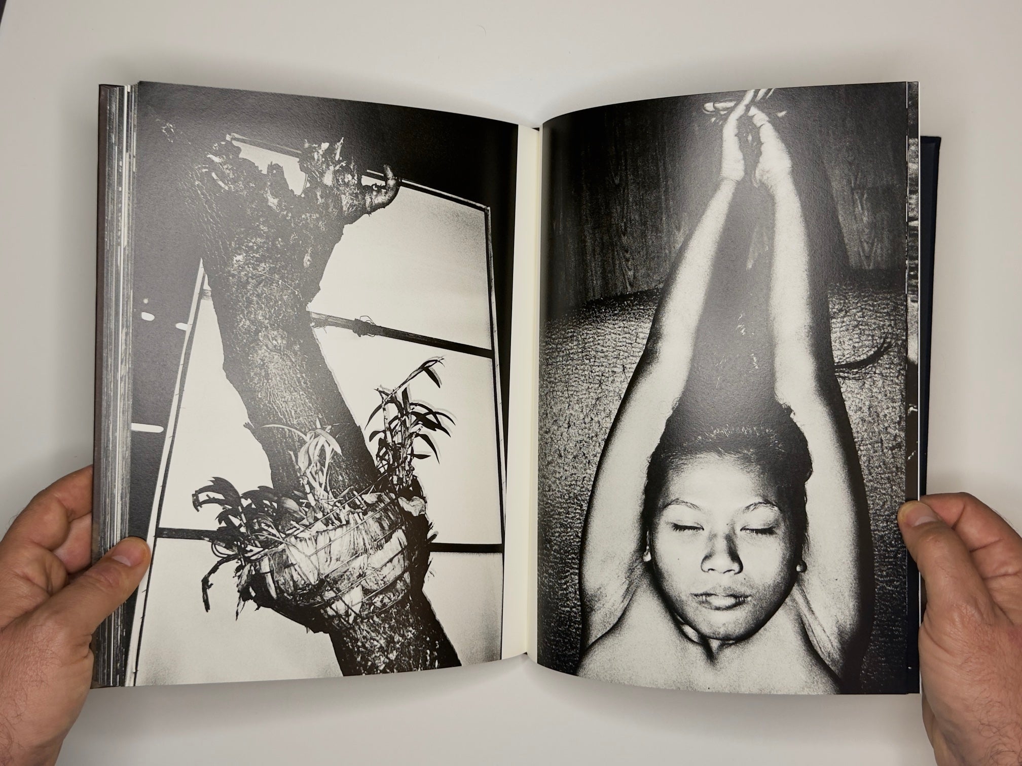 BY THE RIVER OF KINGS, Jacob Aue Sobol, SUPER LABO, 2016