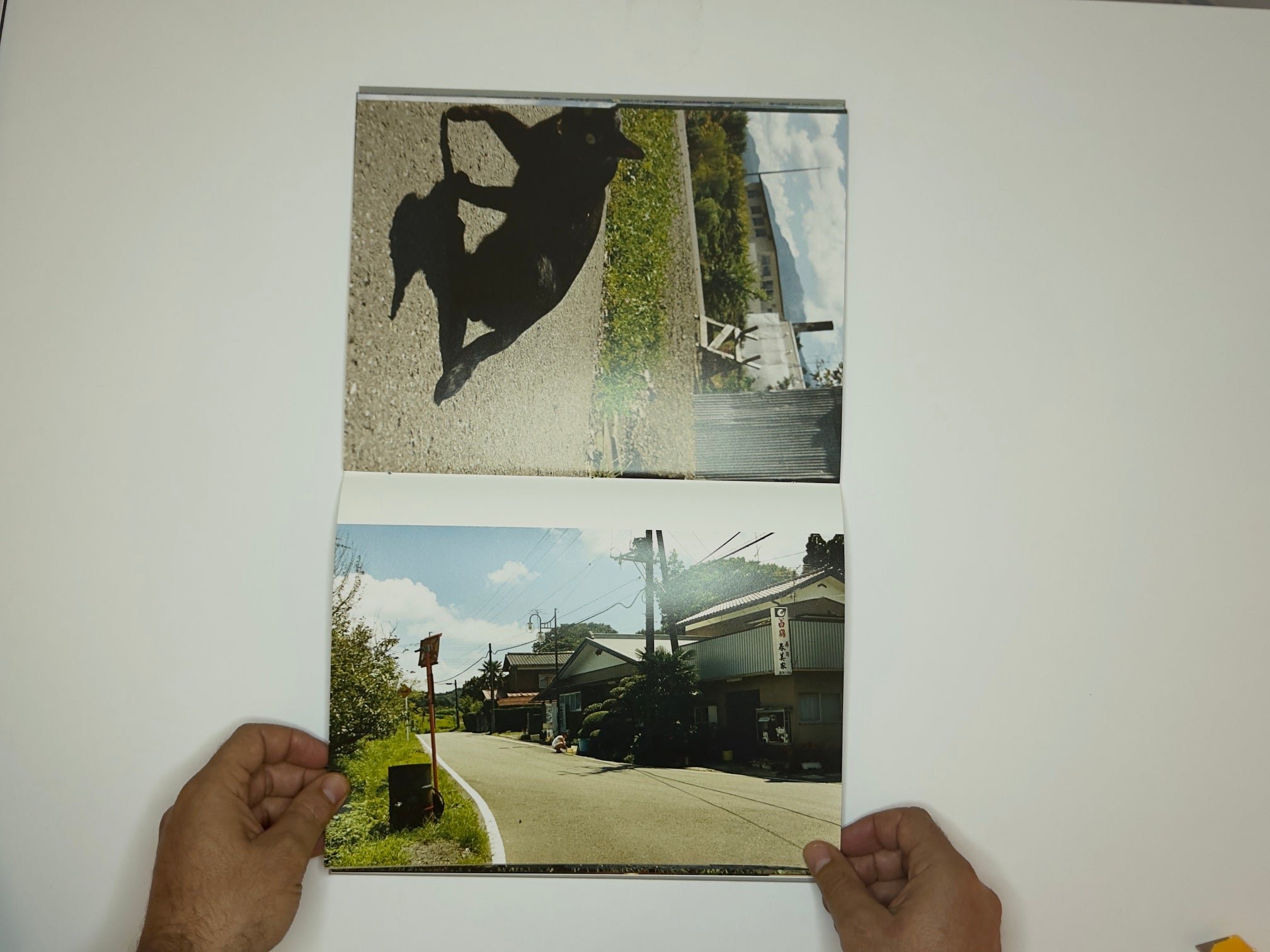 夏をあつめて (Collecting Summers) Koji Onaka, SUPER LABO, 2017