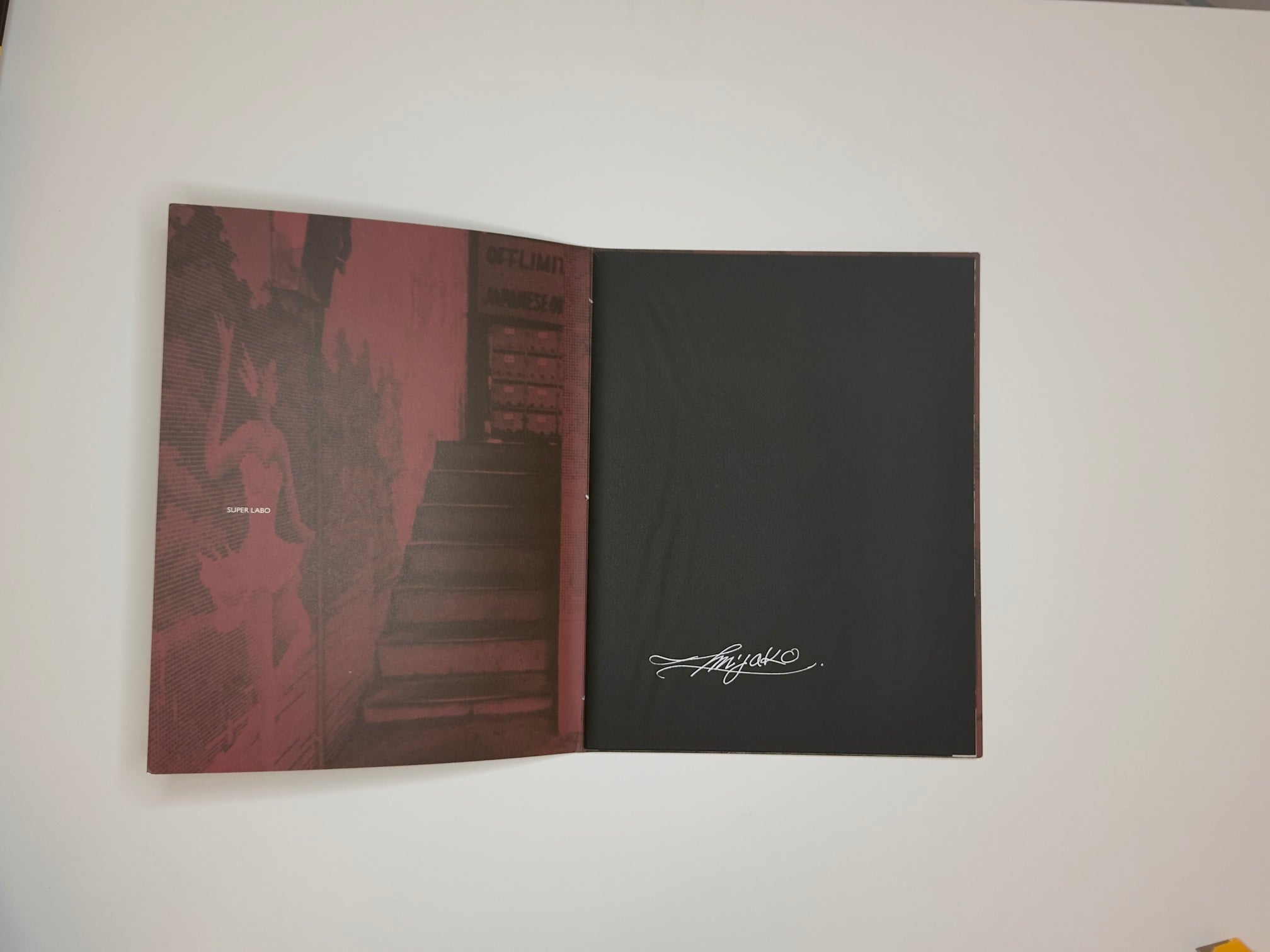 From YOKOSUKA, Ishiuchi Miyako (石内都), SUPER LABO, 2016
