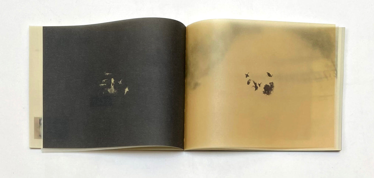 so it goes, so it goes, so it goes, so it goes — Miho Kajioka — the(M) éditions & IBASHO — 2025