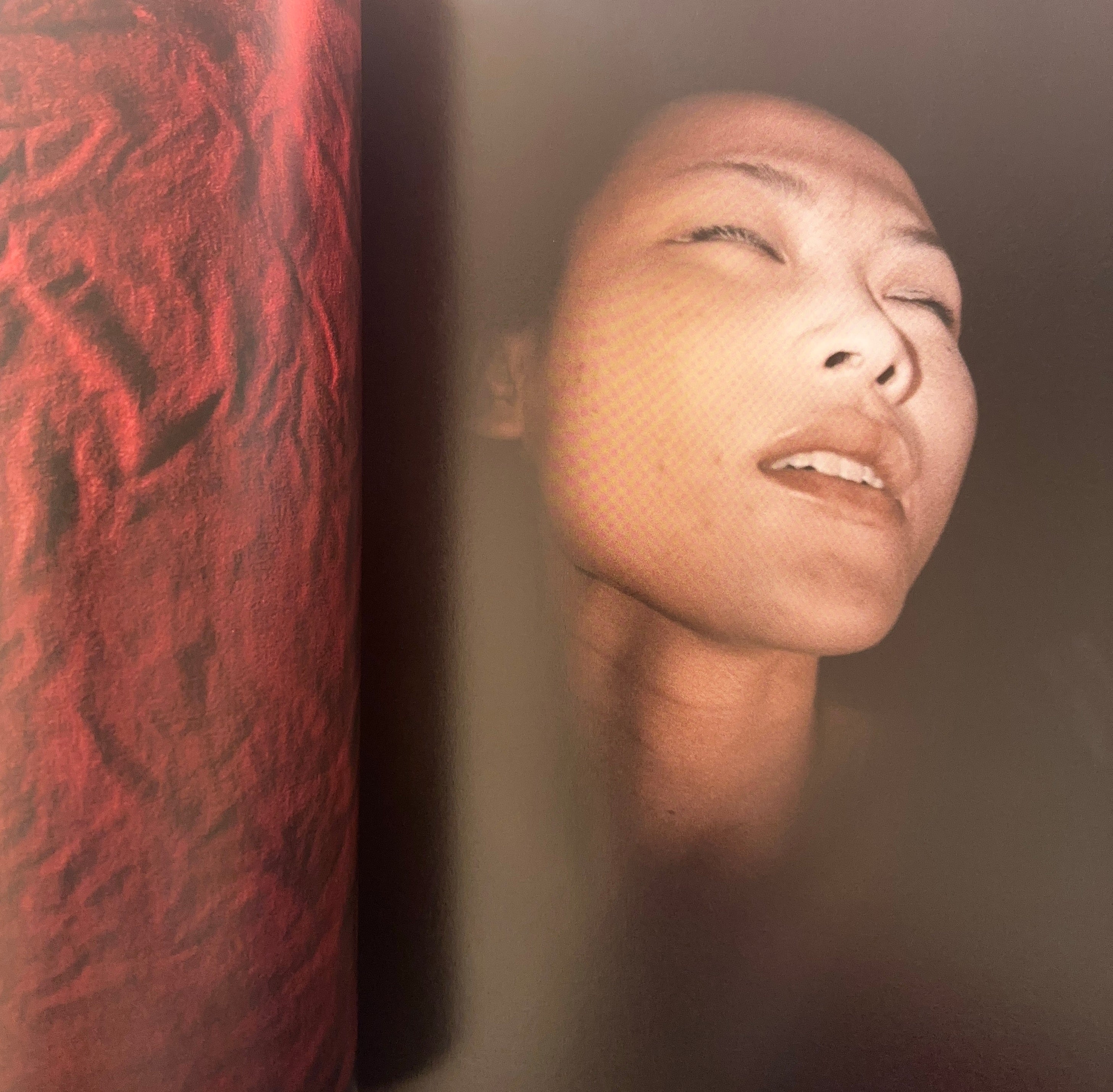 赤穴 (Aka Ana) - Antoine d'Agata 