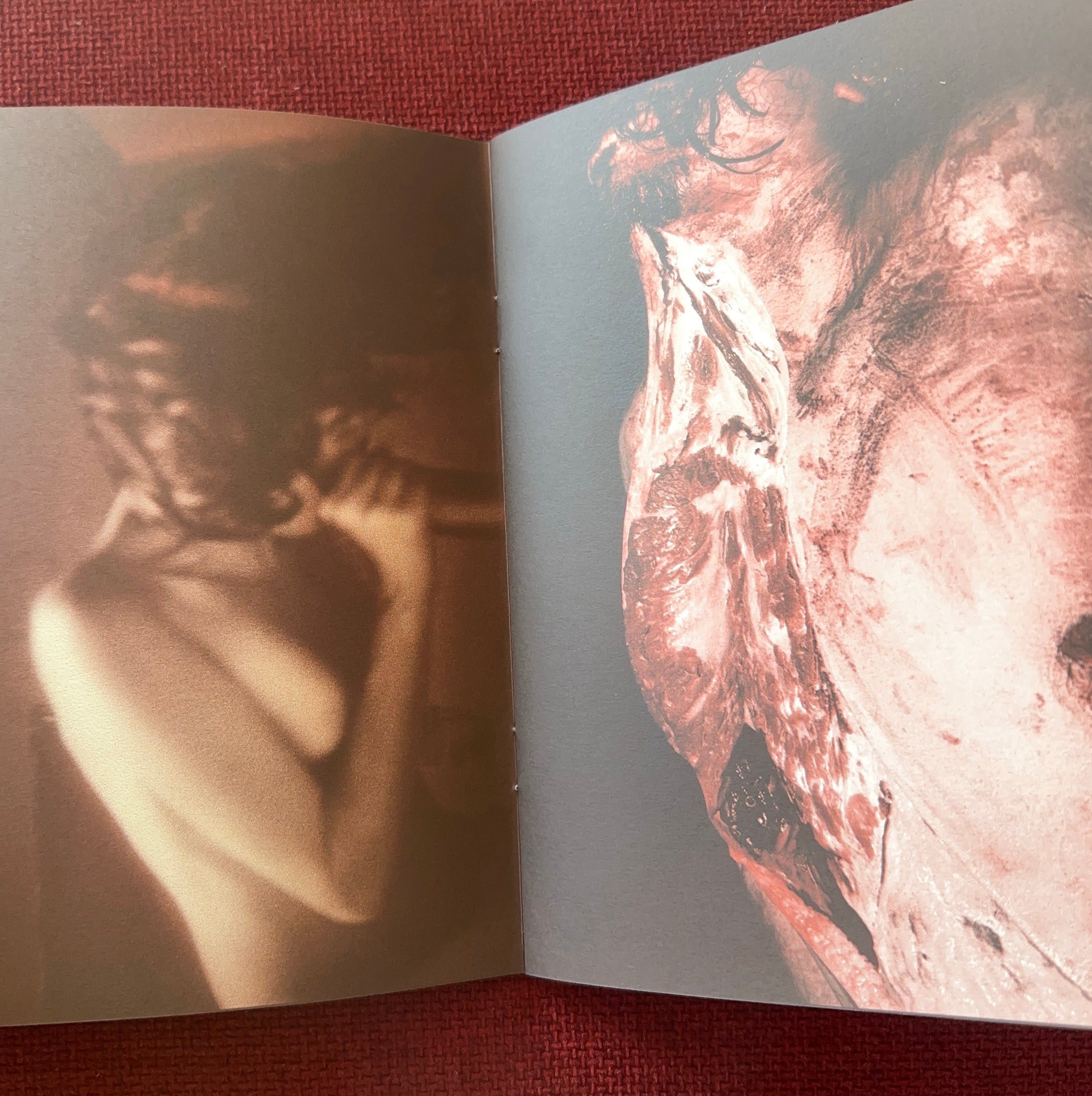 Oscurana — Antoine d'Agata