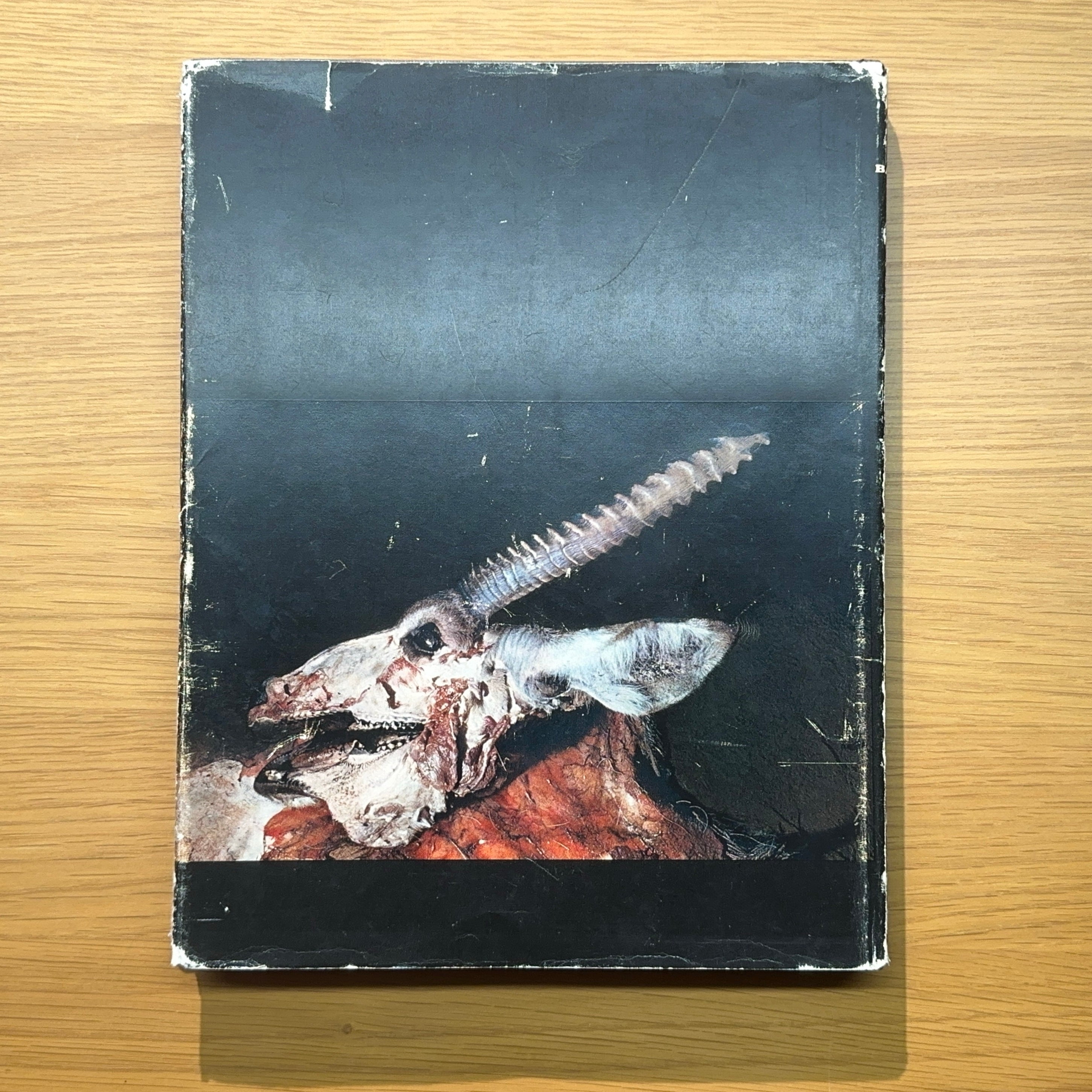 Bagara — Ed van der Elsken