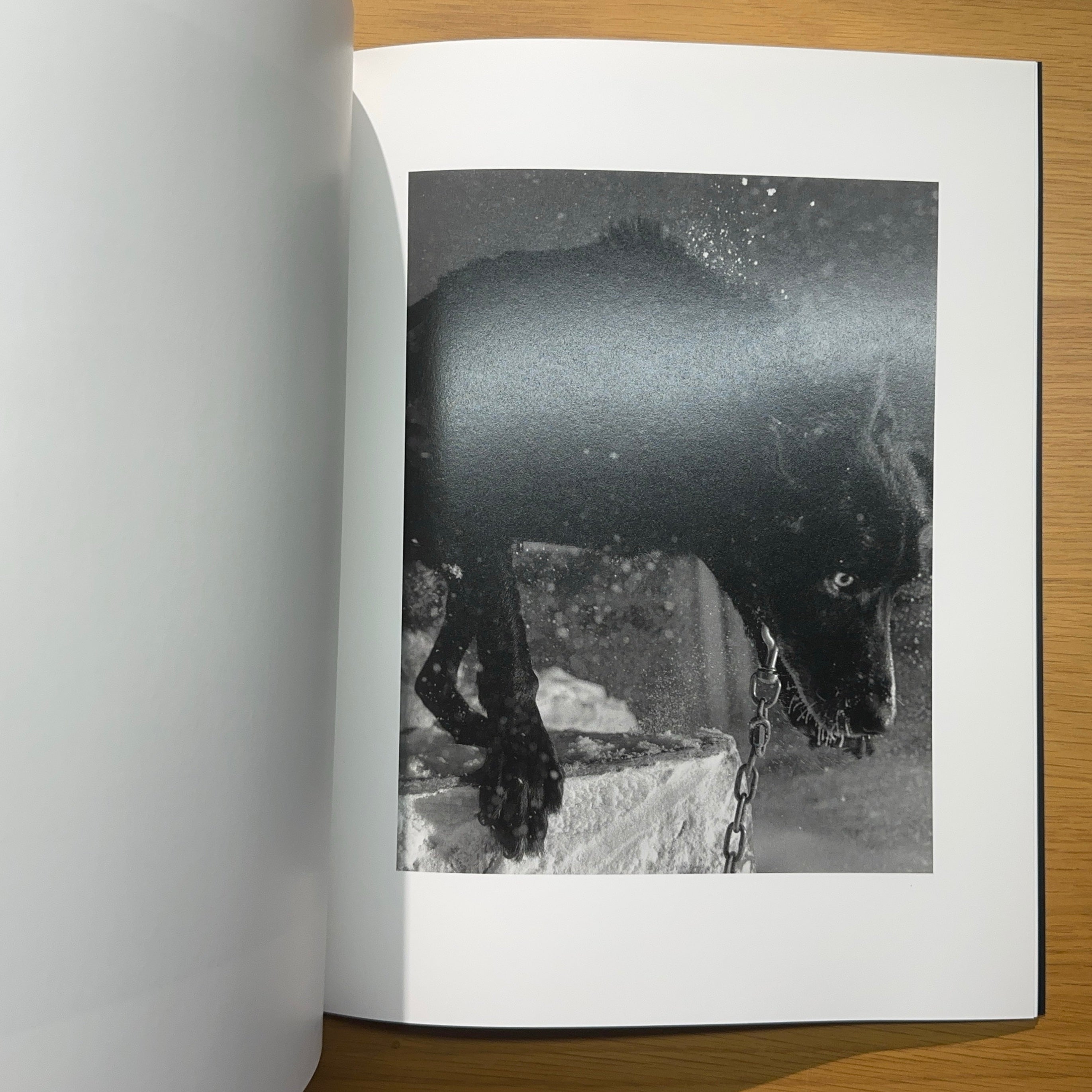Noche polar — Mark Mahaney