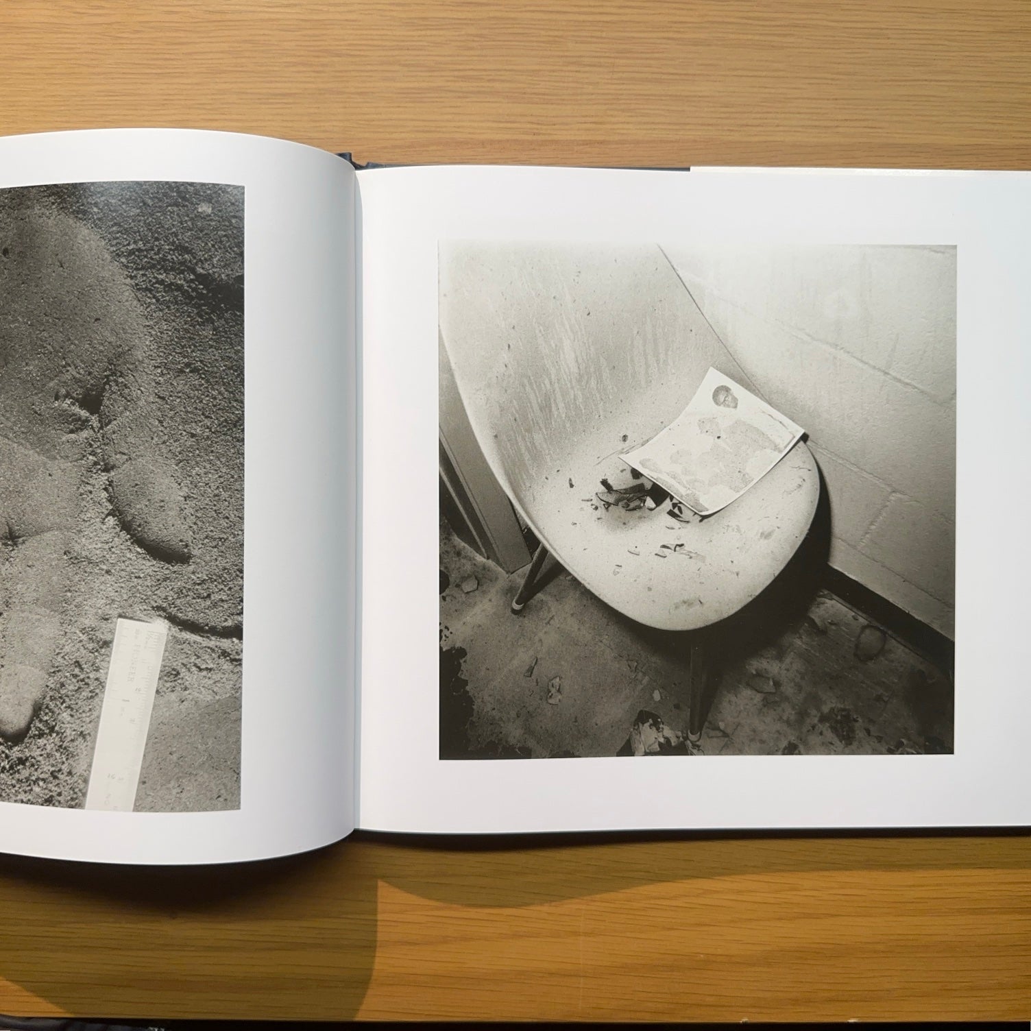Larry Sultan – DaRWIN