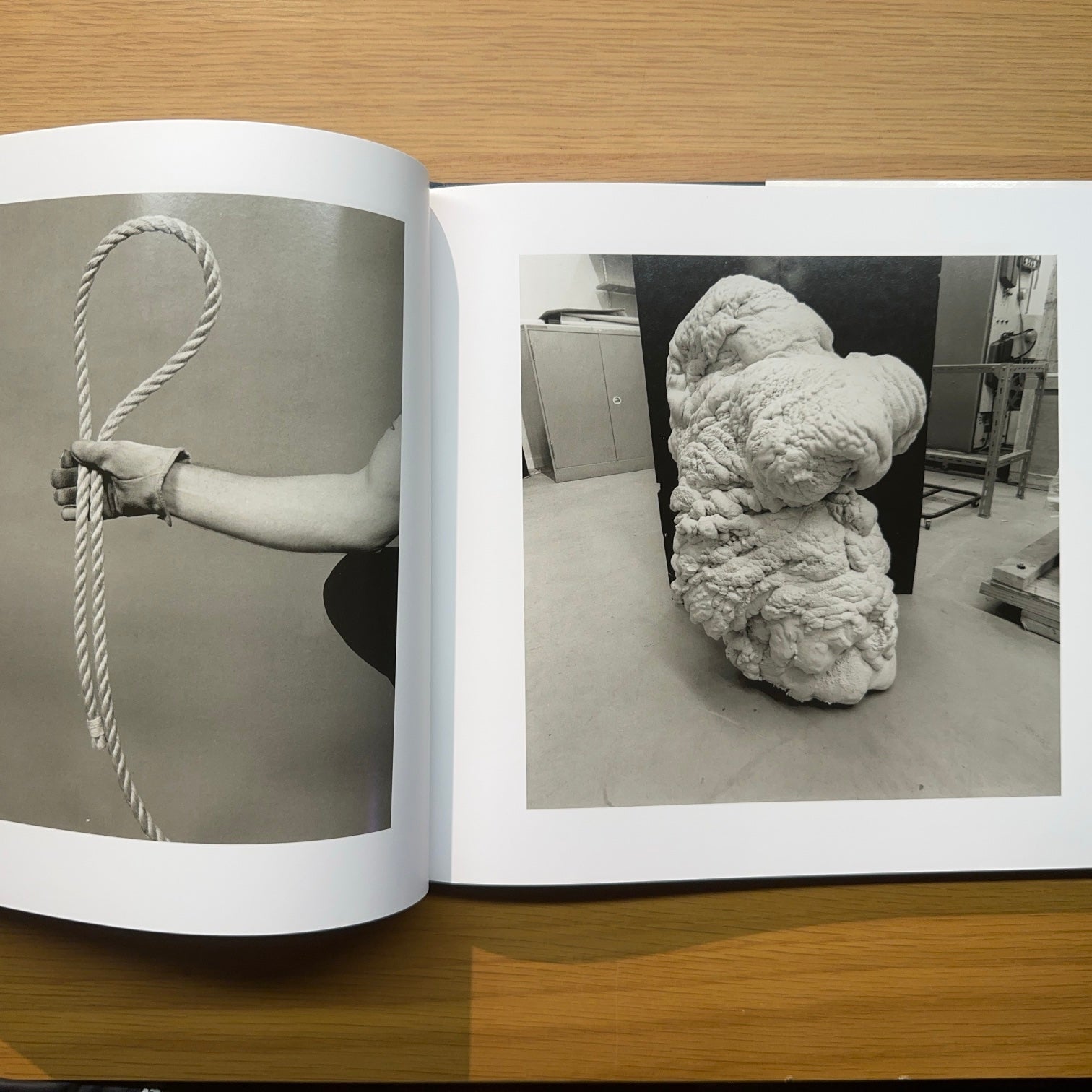 Evidencia — Larry Sultan y Mike Mandel (Segunda edición, 2017)