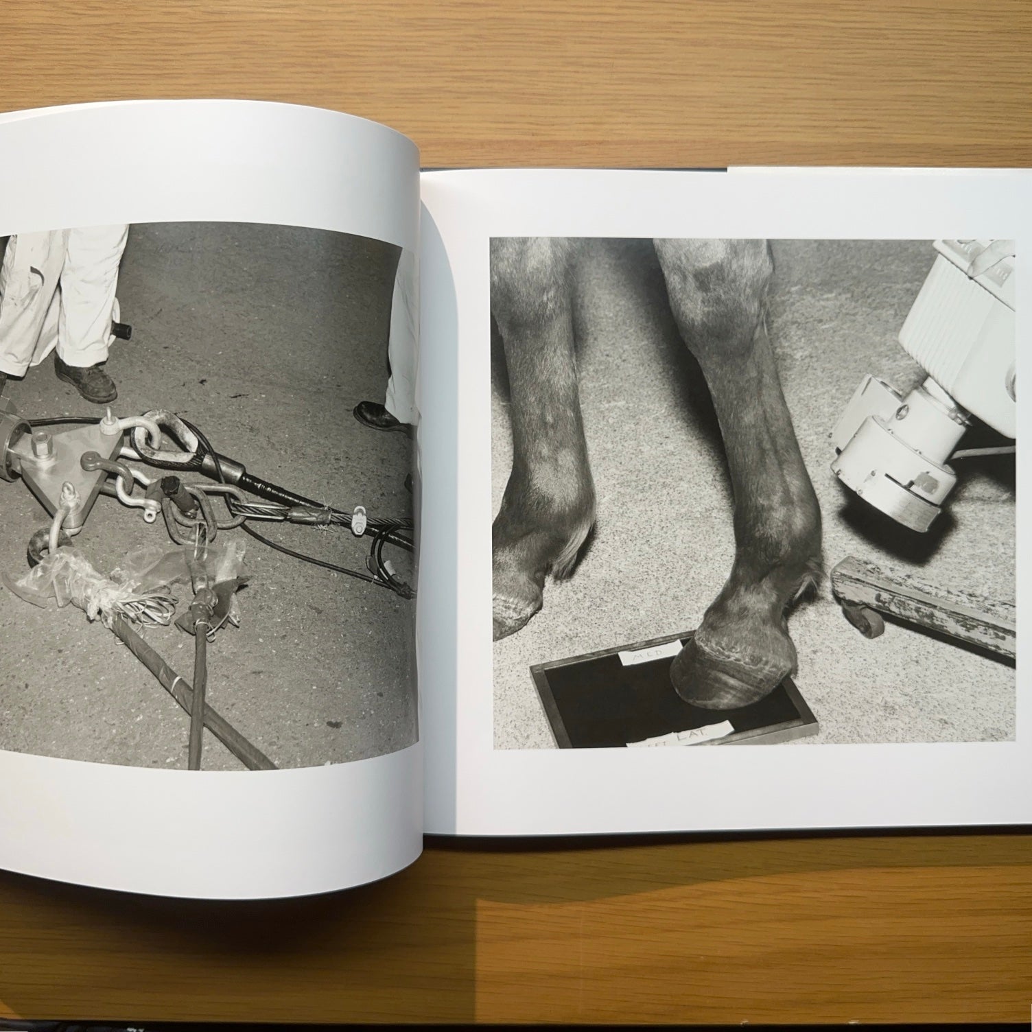 Evidencia — Larry Sultan y Mike Mandel (Segunda edición, 2017)