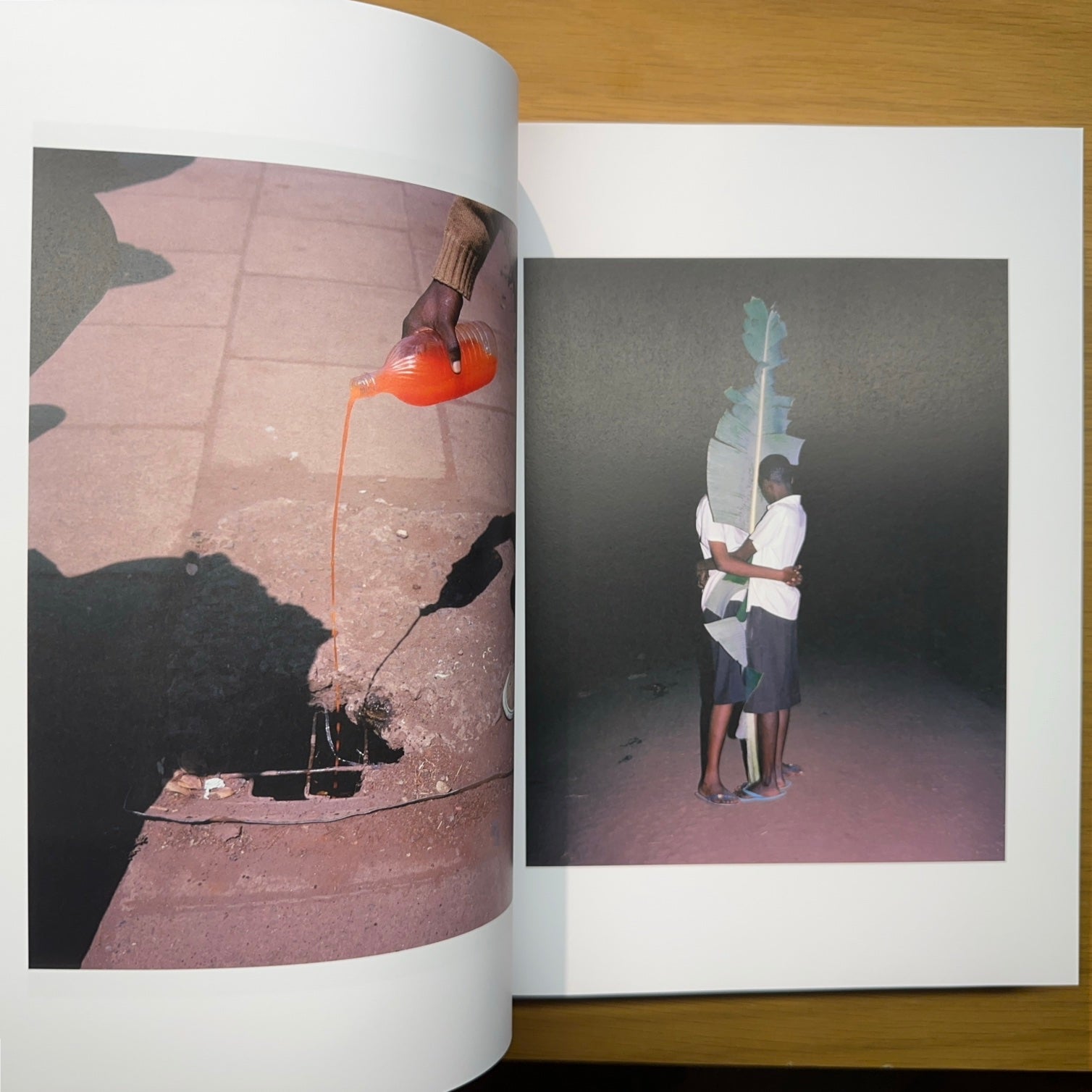 VIVIANE SASSEN — FÓSFORO: Arte y moda 1990–2023