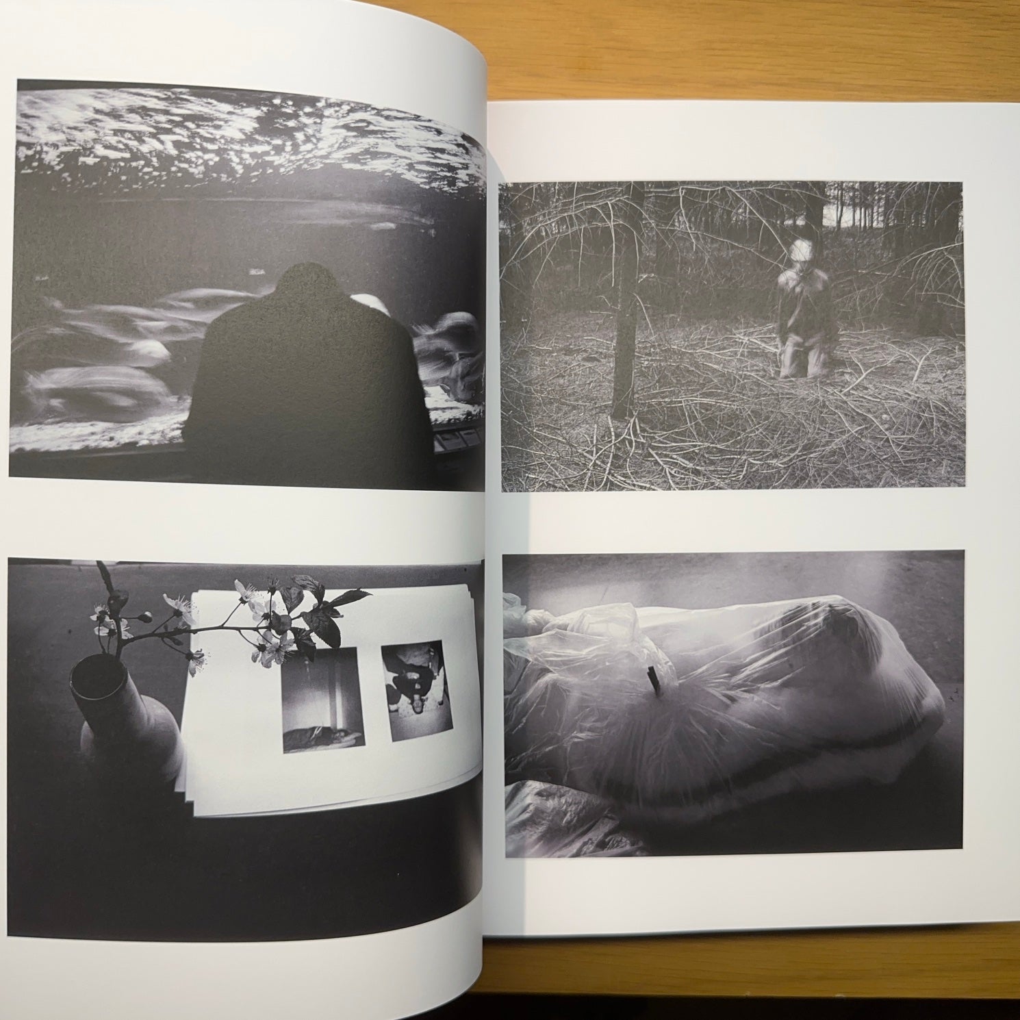 VIVIANE SASSEN — FÓSFORO: Arte y moda 1990–2023