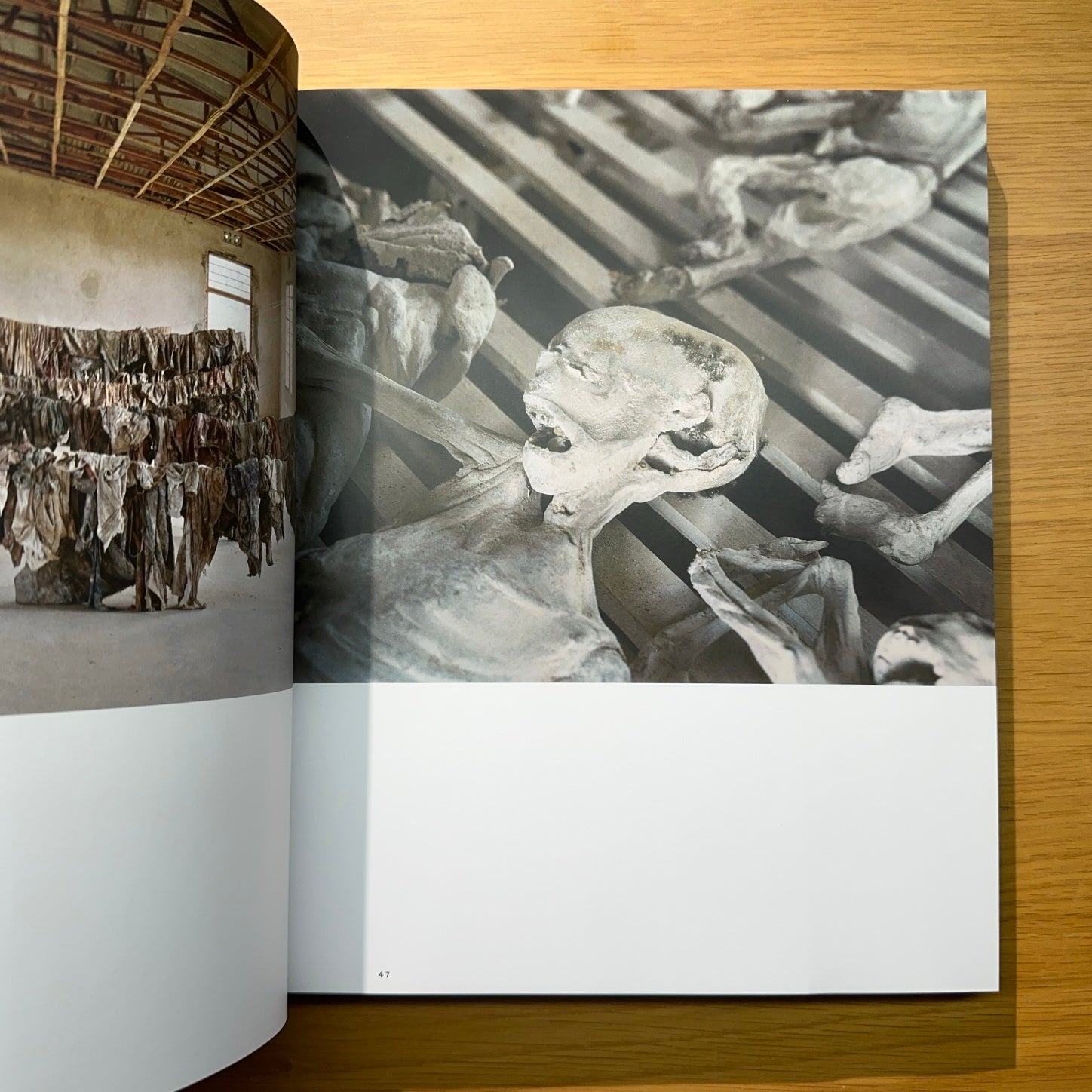 Pieter Hugo: Between the Devil and the Deep Blue Sea – DaRWIN