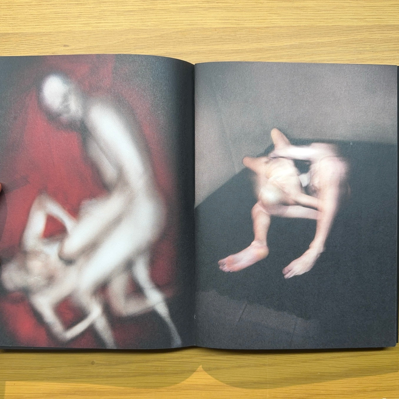 Francis Bacon / Antoine d'Agata — Antoine d'Agata (firmado)