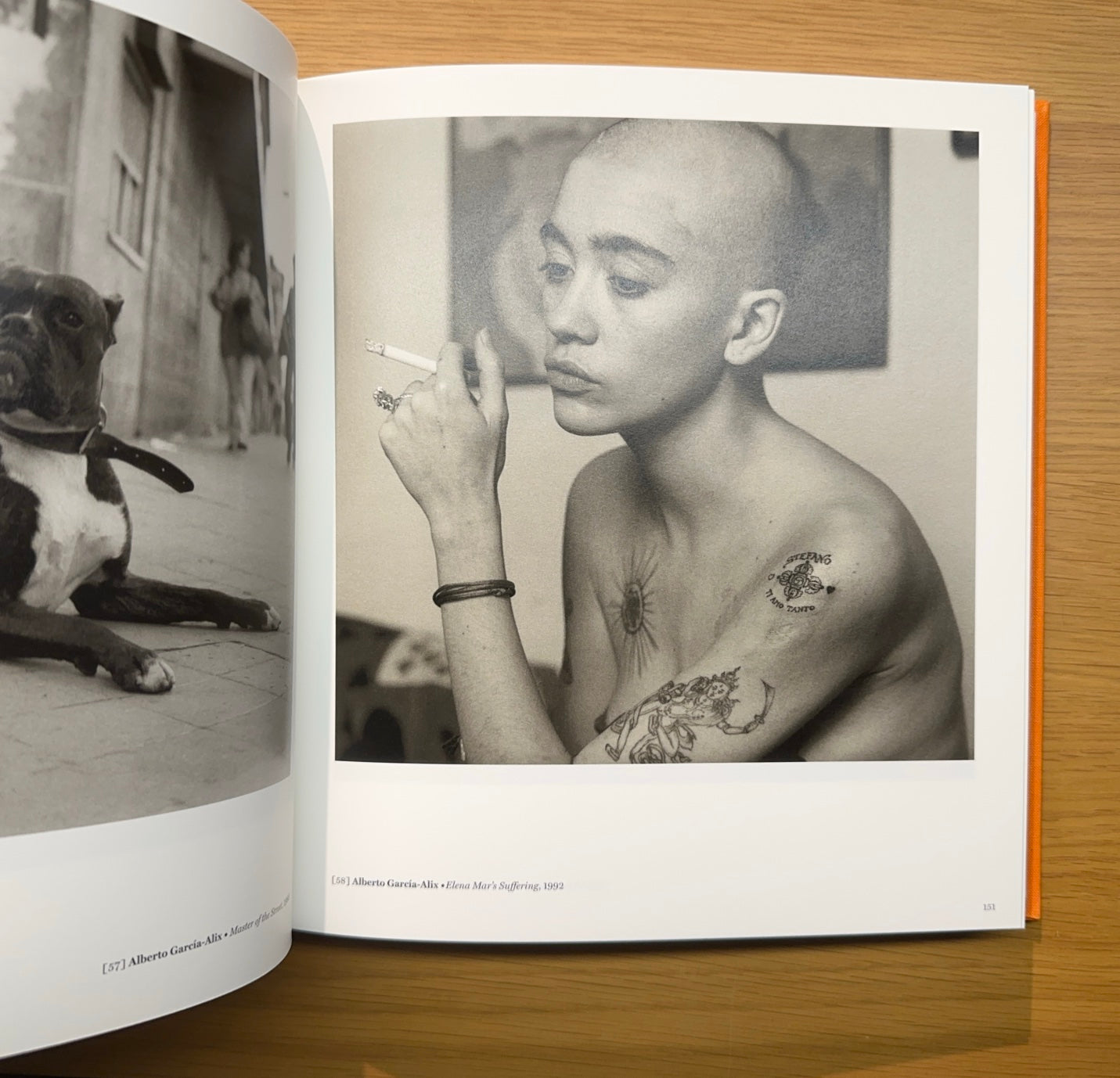 El Pulso de la Vida — Retratos fotográficos siglo XXI