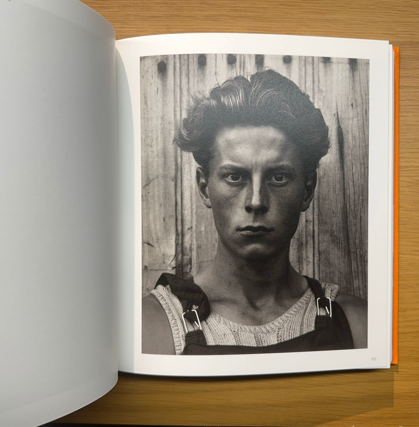 El Pulso de la Vida — Retratos fotográficos siglo XXI
