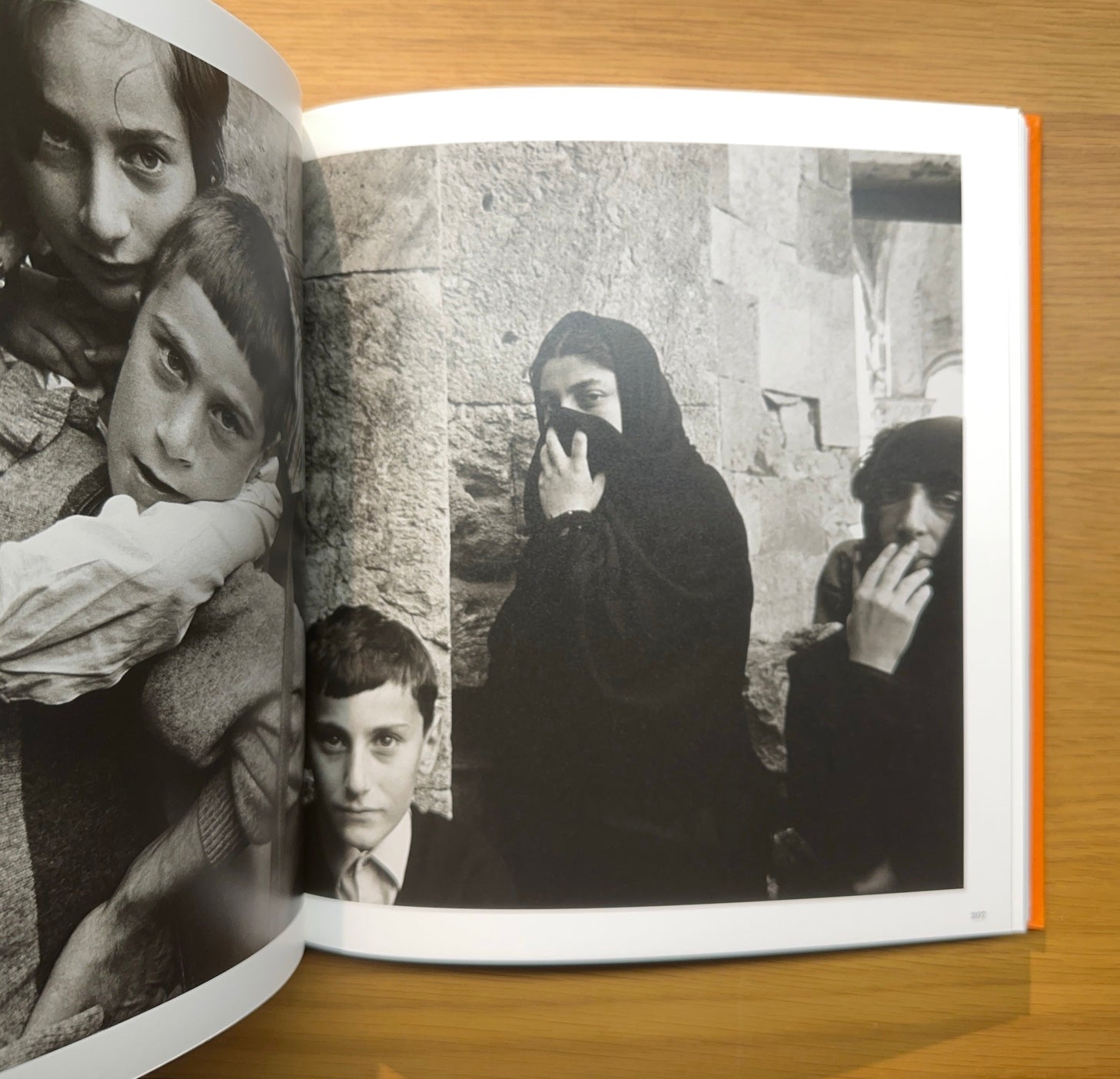 El Pulso de la Vida — Retratos fotográficos siglo XXI