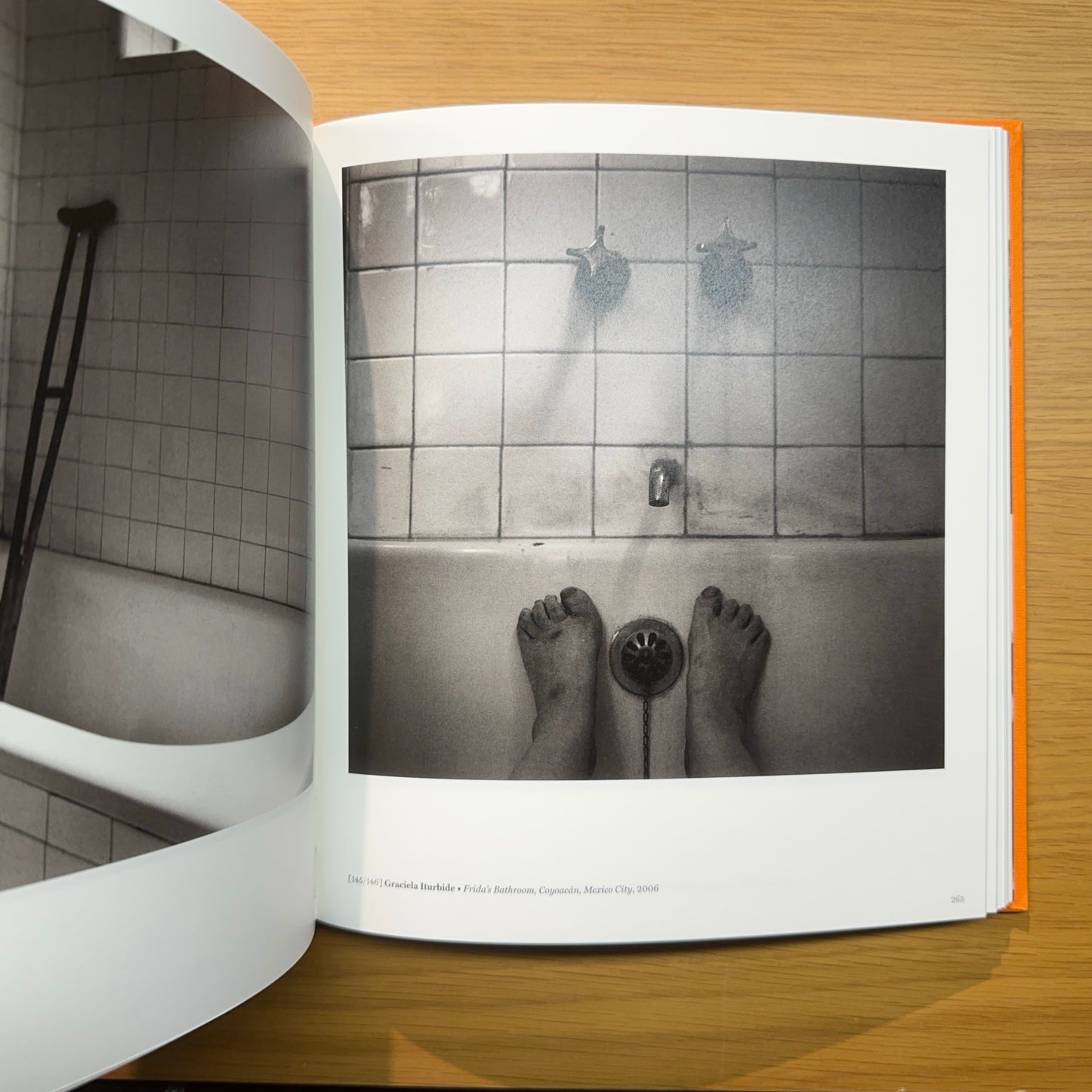 El Pulso de la Vida — Retratos fotográficos siglo XXI