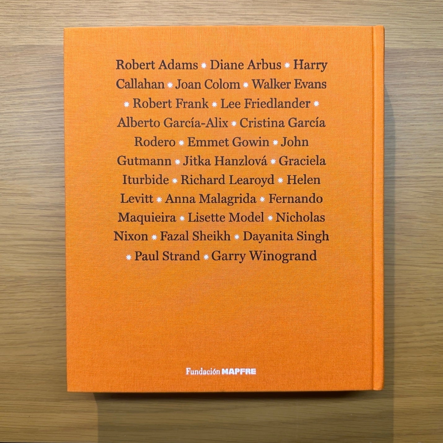 El Pulso de la Vida — Retratos fotográficos siglo XXI