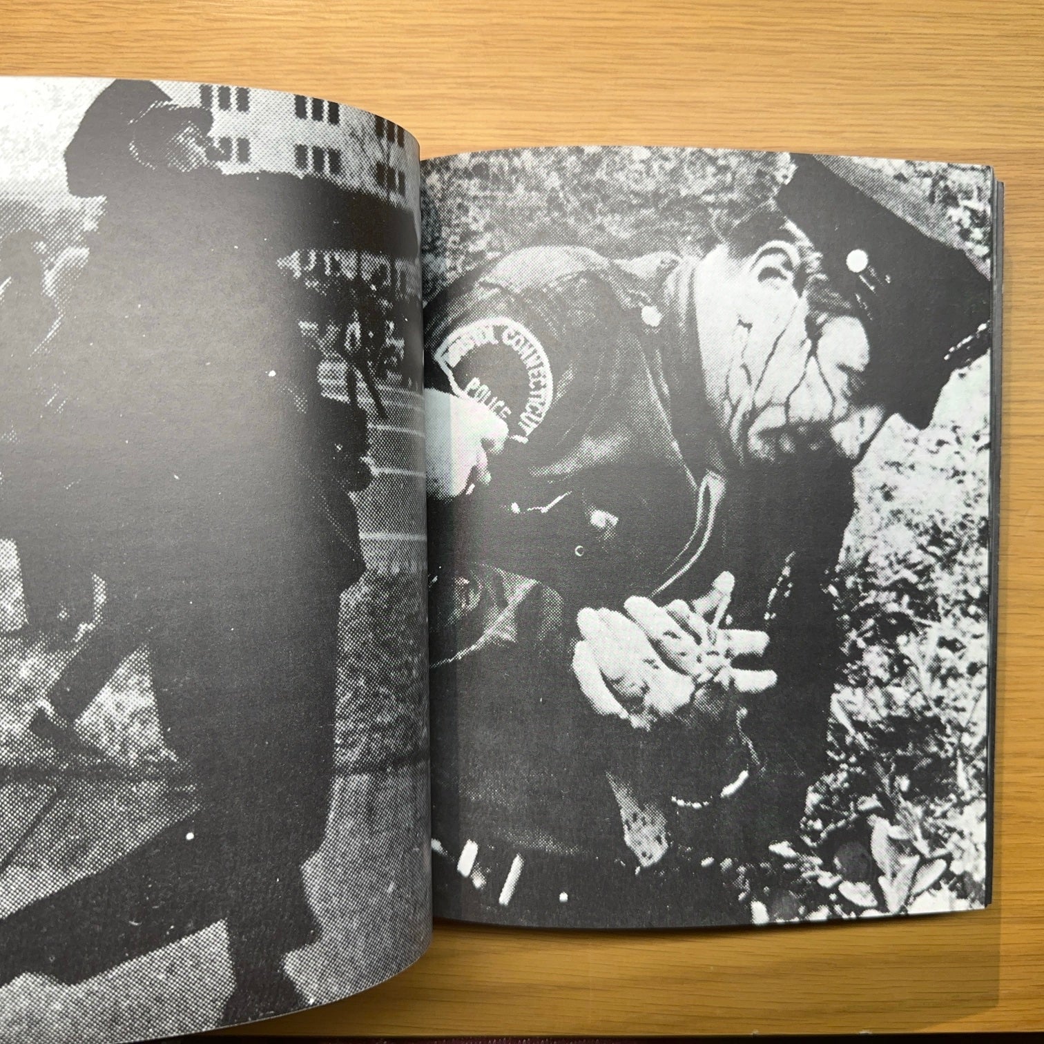 Pornographie – Klaus Staeck, 1971