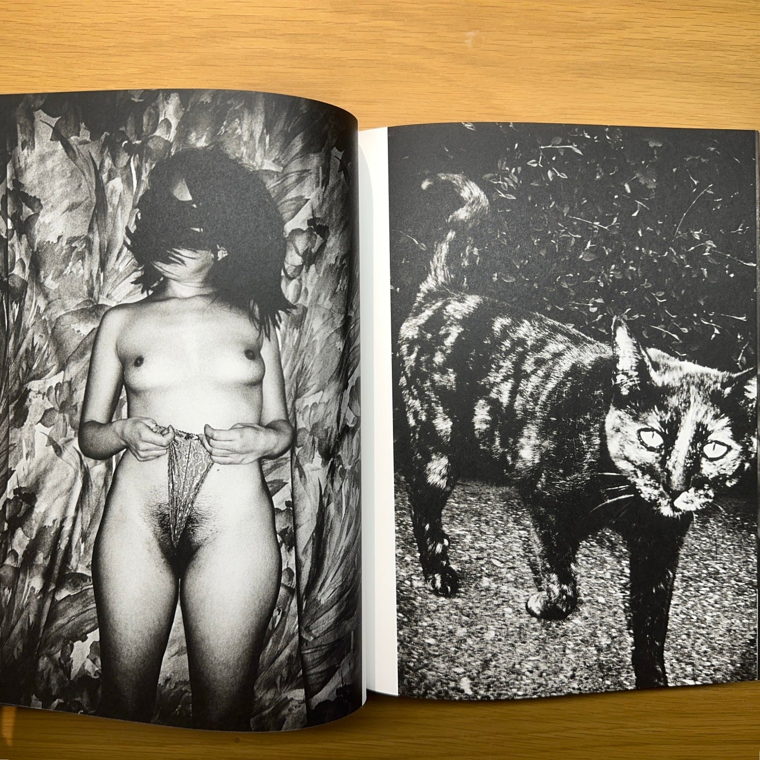 ANDERS PETERSEN - Monographie