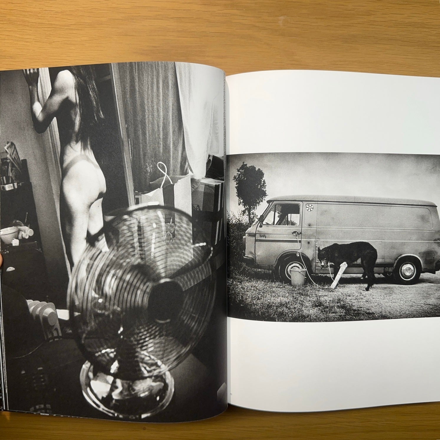 ANDERS PETERSEN - Monographie