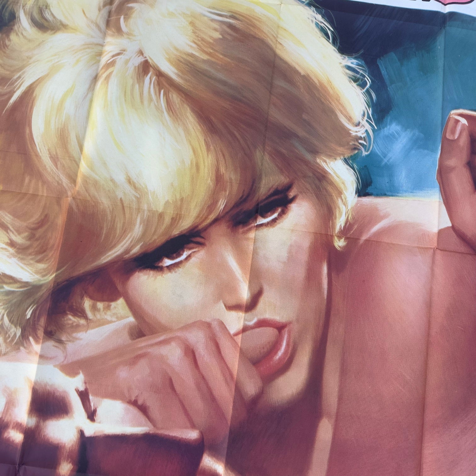 Le Démon des Femmes (1968) — Novak / Aldrich — French Poster 120x160