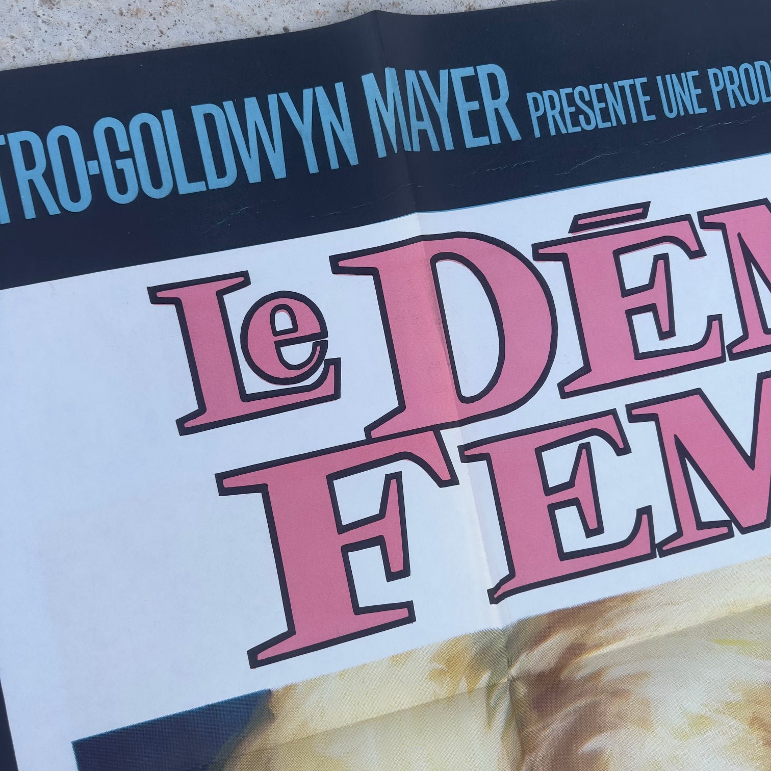 Le Démon des Femmes (1968) — Novak / Aldrich — French Poster 120x160