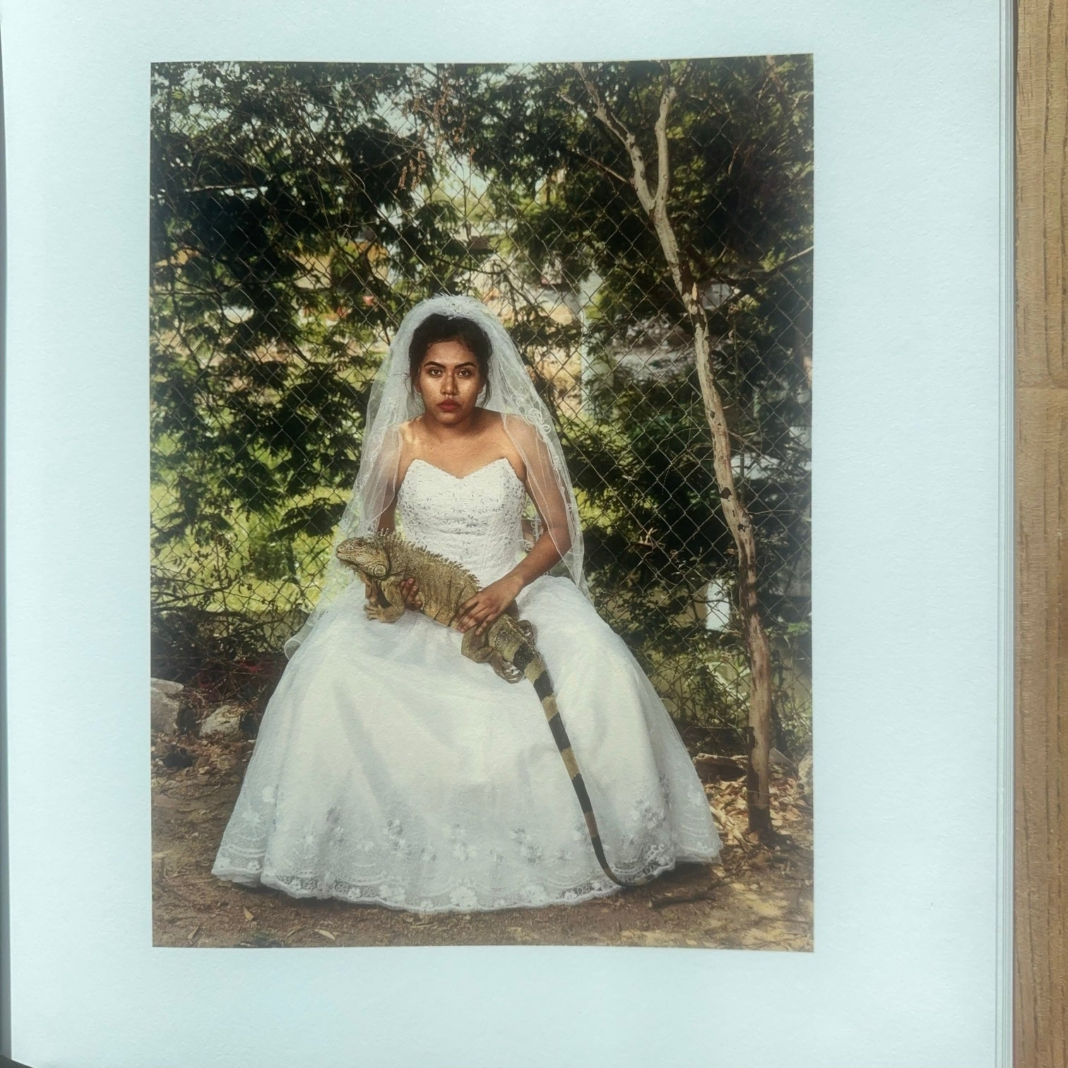La Cucaracha - Pieter Hugo (Signé; Première édition)