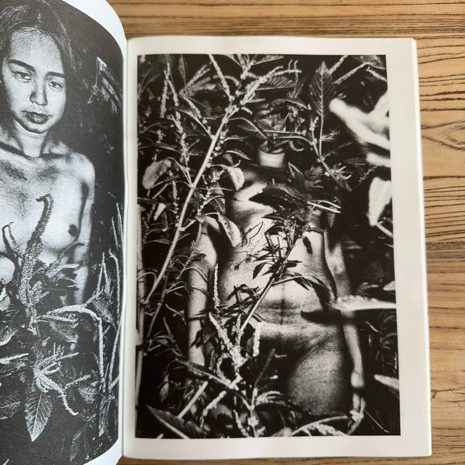 Flash — Brian Sergio, 2021, 1st Edition of 150, The Atelier Risographique / Editions Bessard