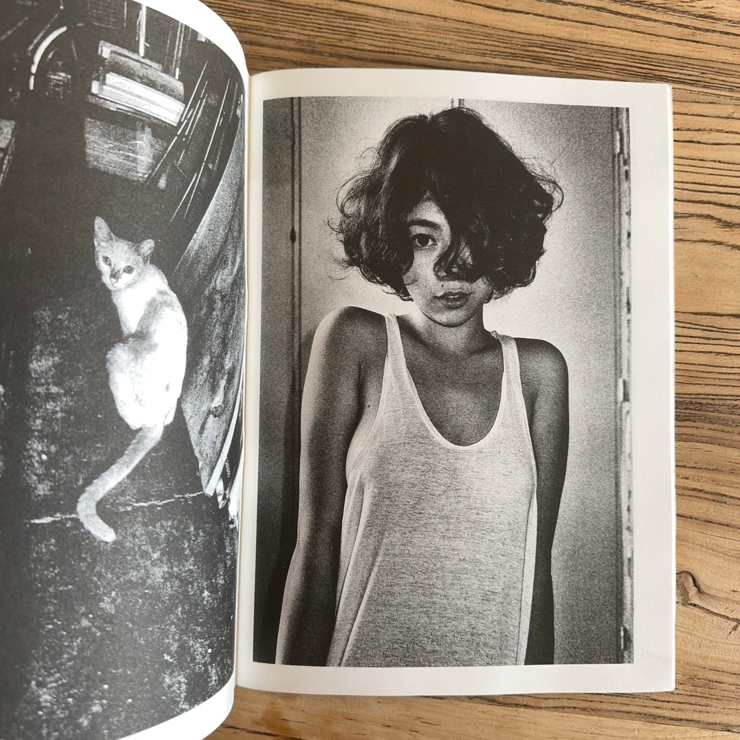 Flash — Brian Sergio, 2021, 1st Edition of 150, The Atelier Risographique / Editions Bessard
