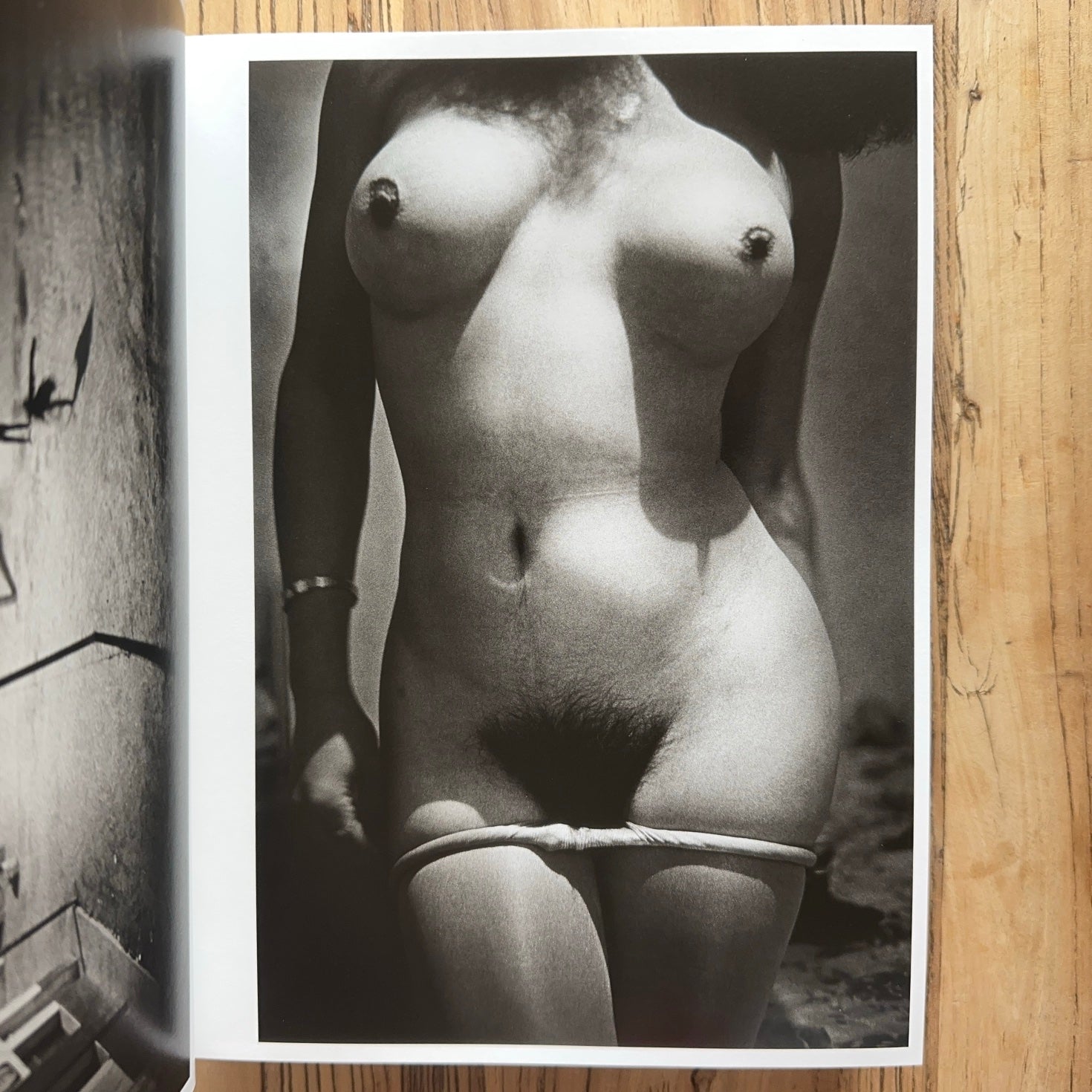 ANTICORPIOS — Antoine d'Agata