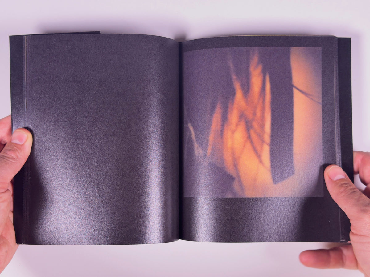 Maps on the Skin — Purple Isle — 89books