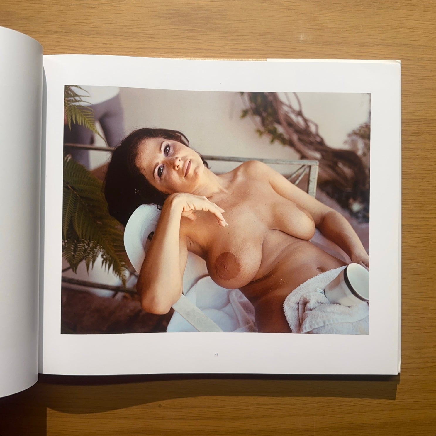 La Vallée — Larry Sultan (2004)